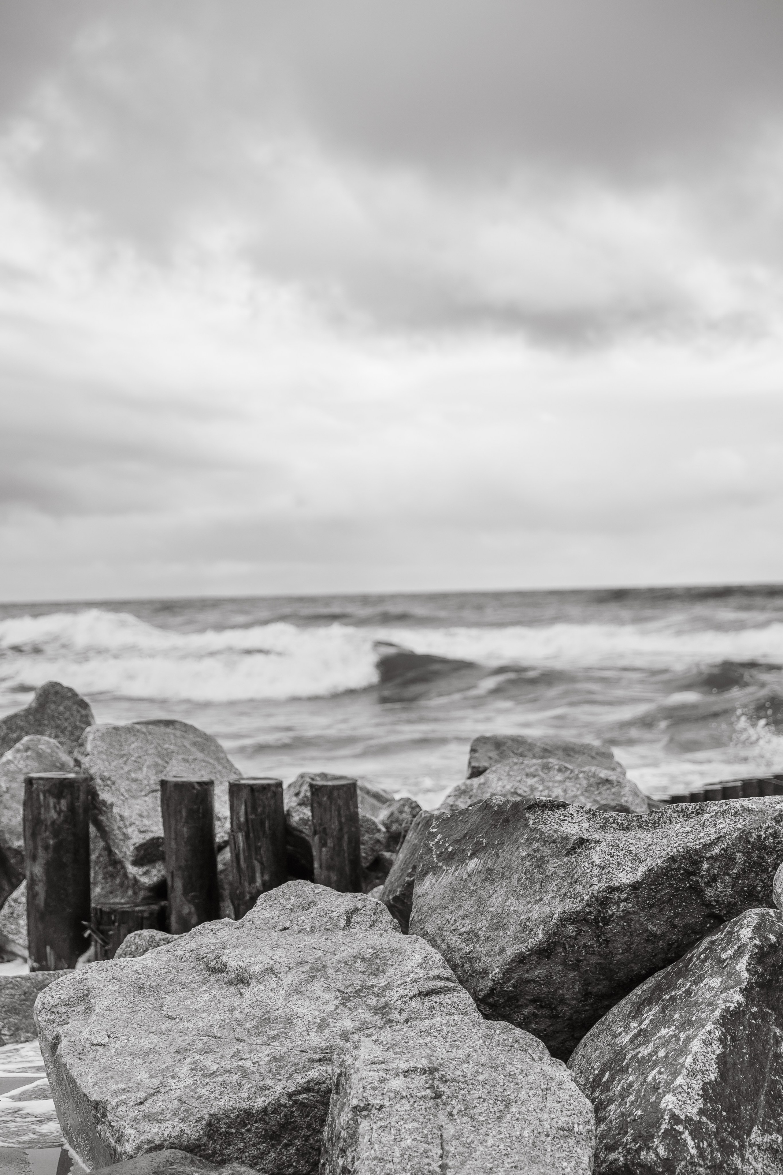 Sea_. Diana Chumakova