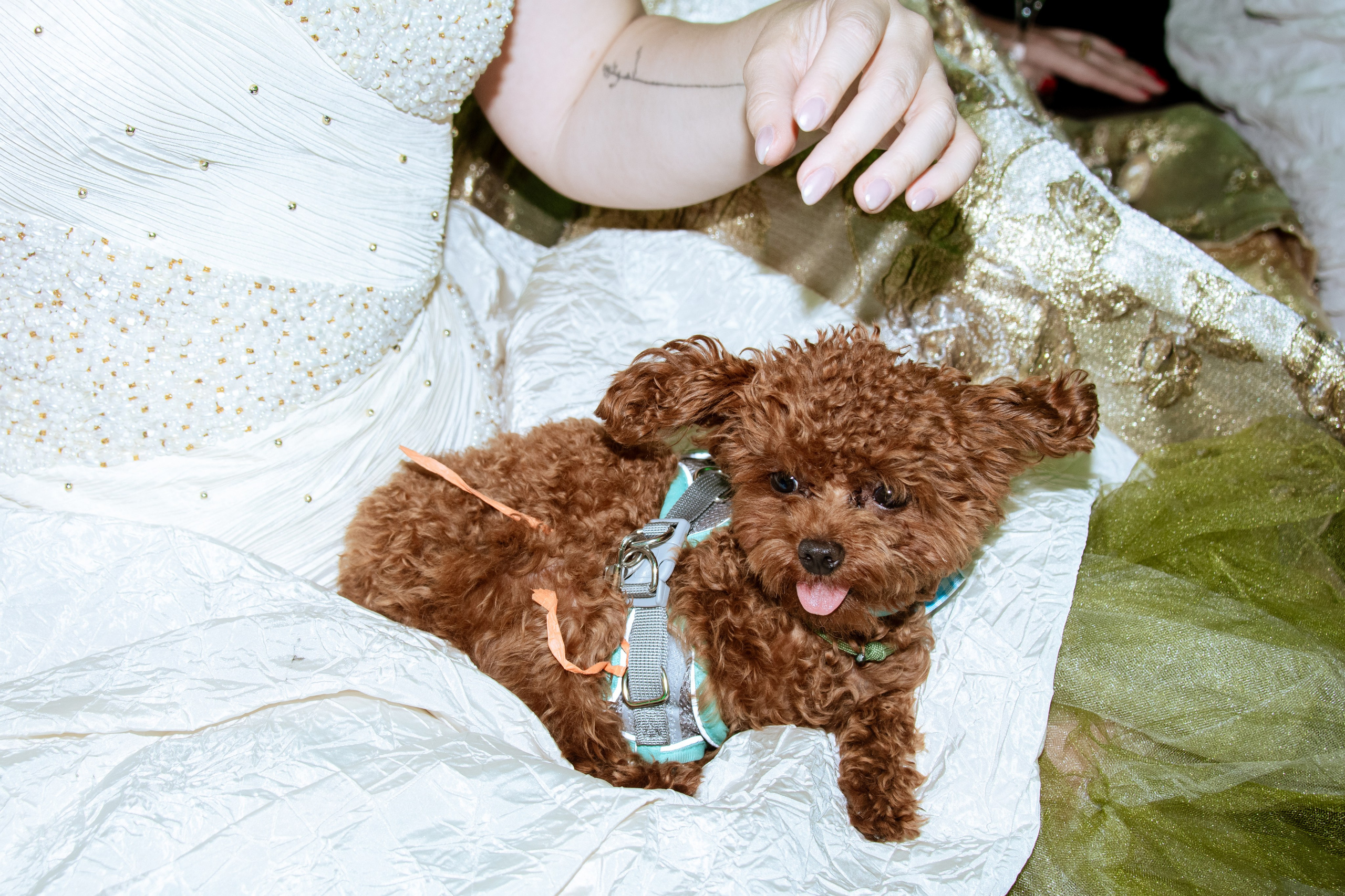 Девичник в Императорском стиле. Фотограф в Санкт-Петербурге Ксения Яковчук