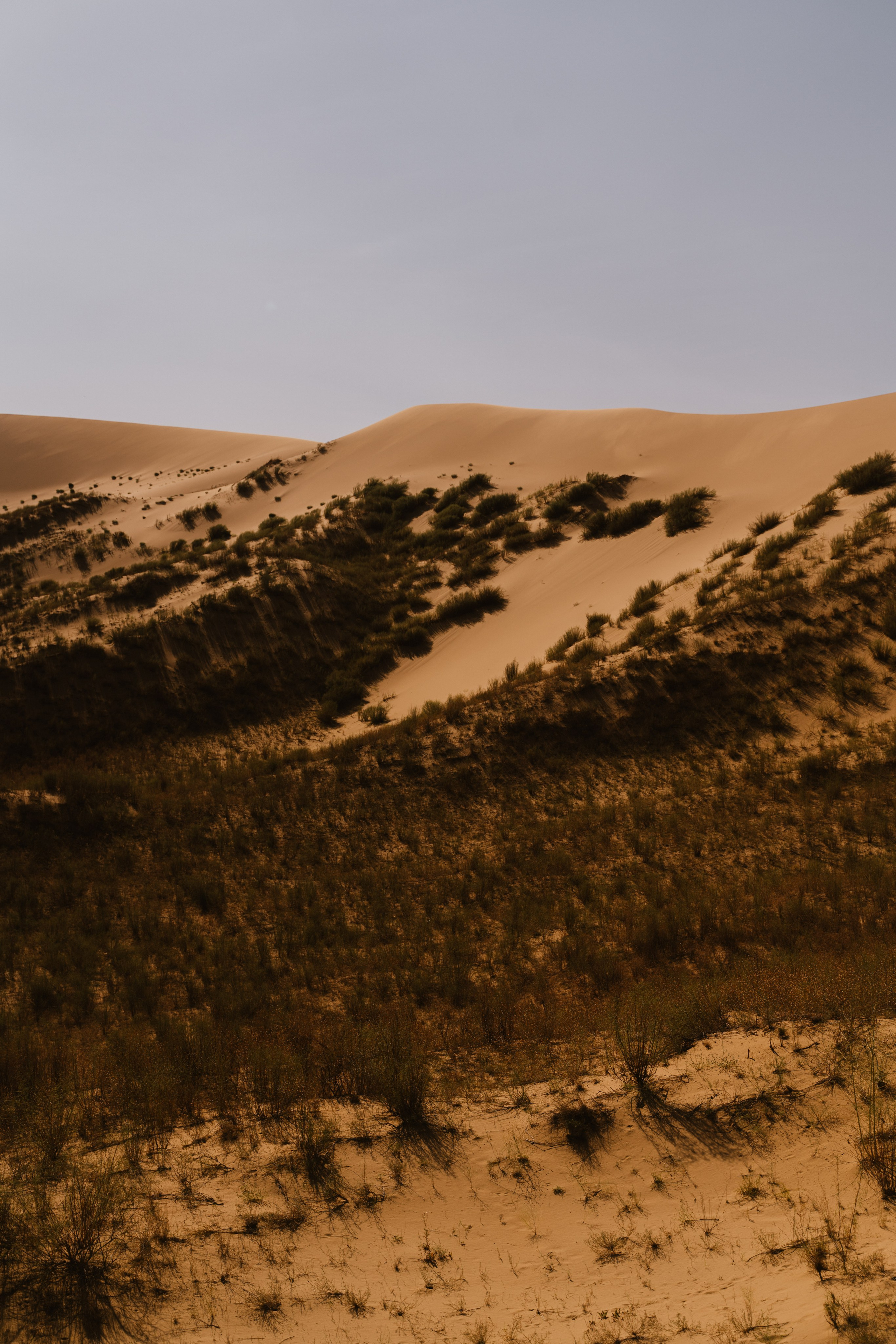 Пейзаж. Фотограф Кантемир Бараов