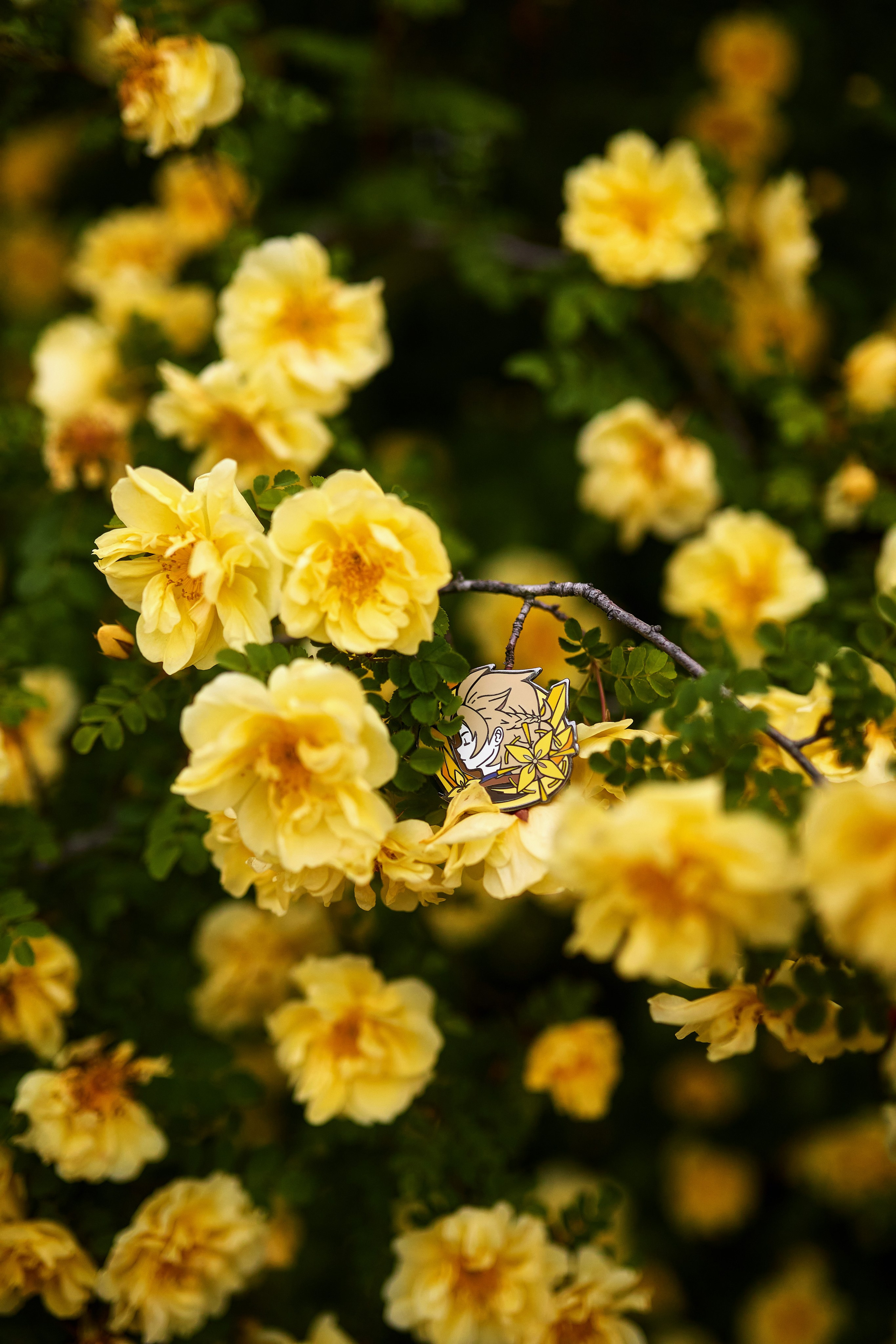 Предметная фотосъёмка металлического пина с персонажем Альбедо из Genshin Impact