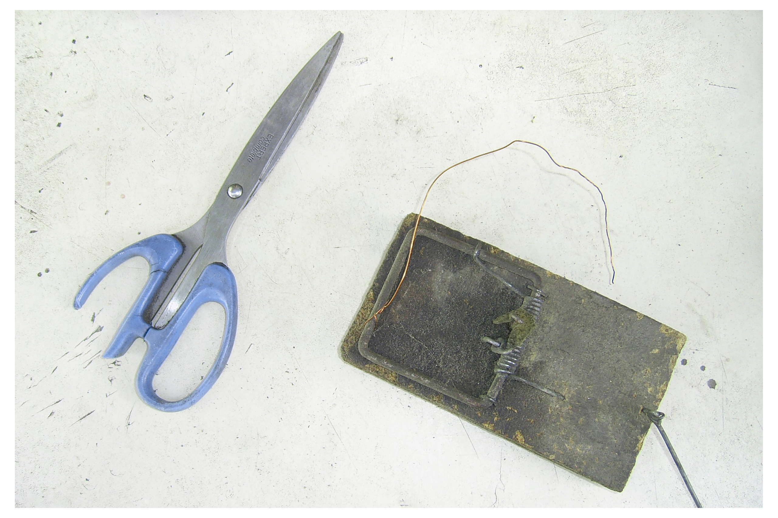 ДАЧА. Фотограф Манакова Ольга