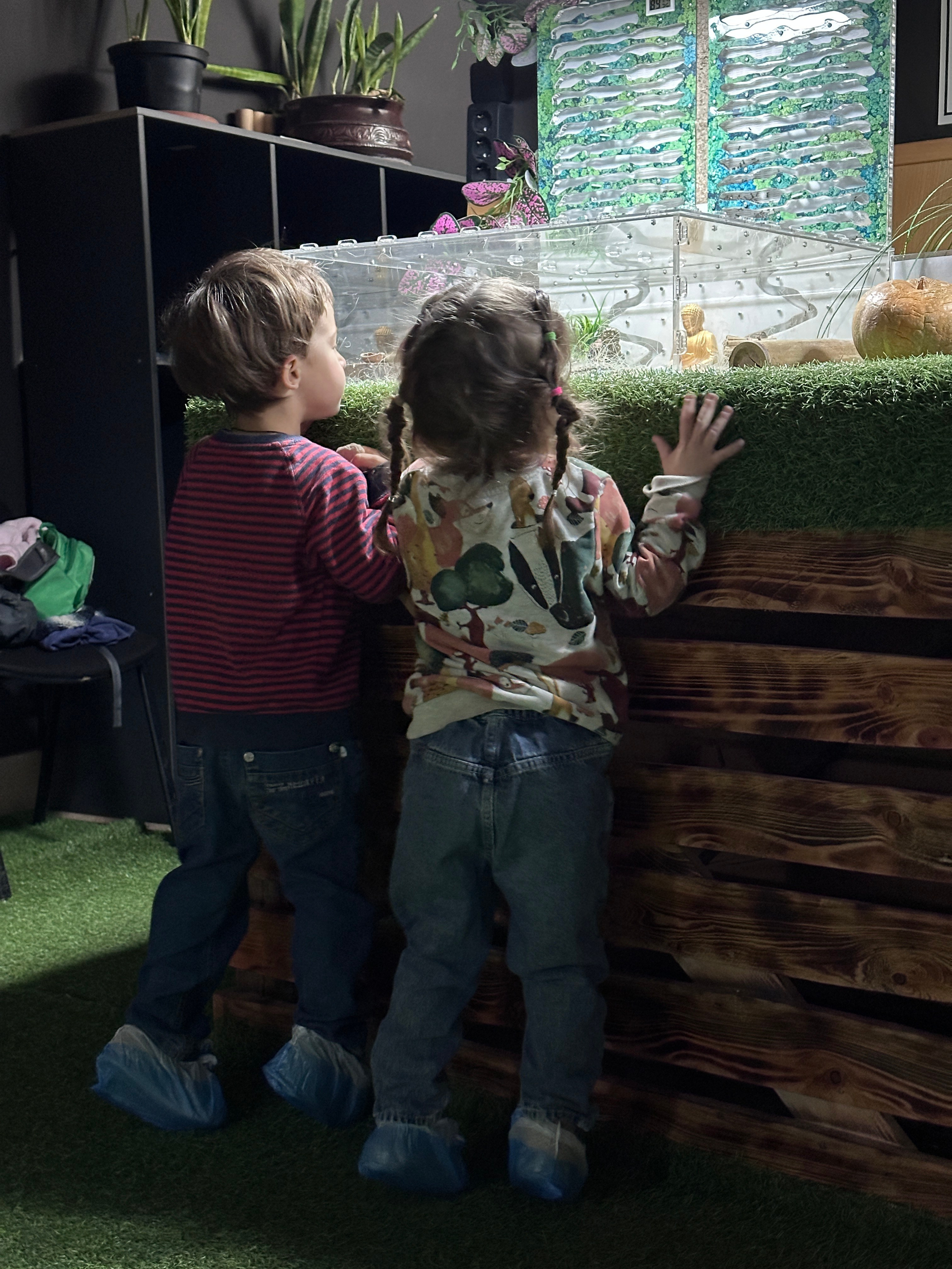 Дети. Смотри, красота!