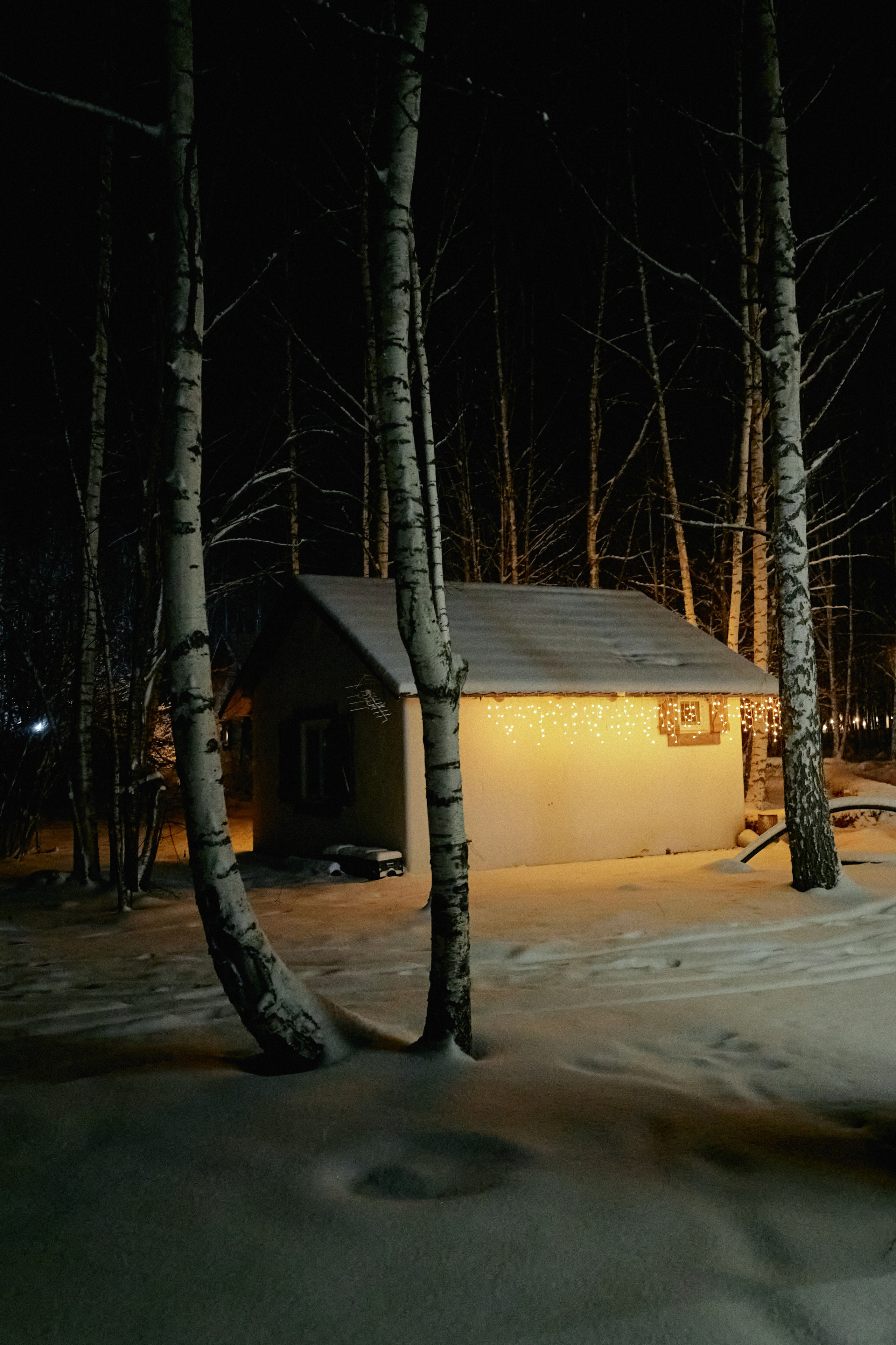Бутик-отель Поле зимой. Профессиональный Фотограф во Владимире, в Москве и в Суздале — Полина Романычева
