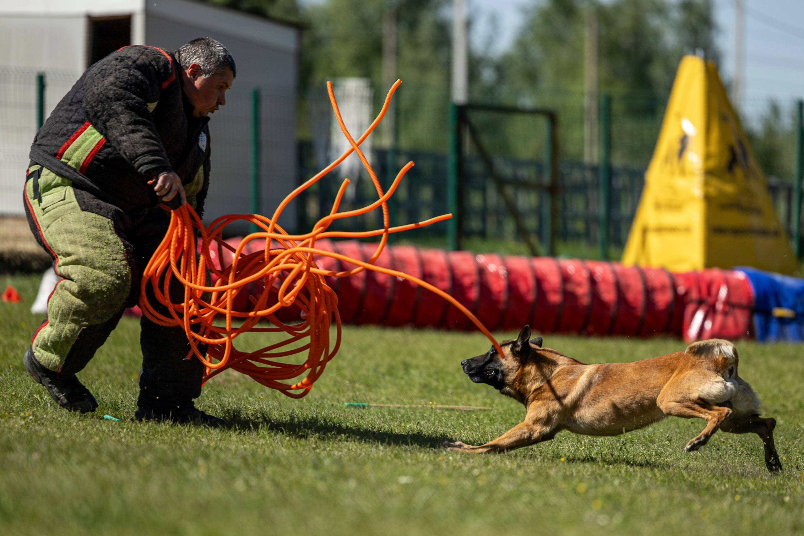Испытания по мондьорингу в Нижнем Новгороде. Фотограф-анималист Анна Маринич