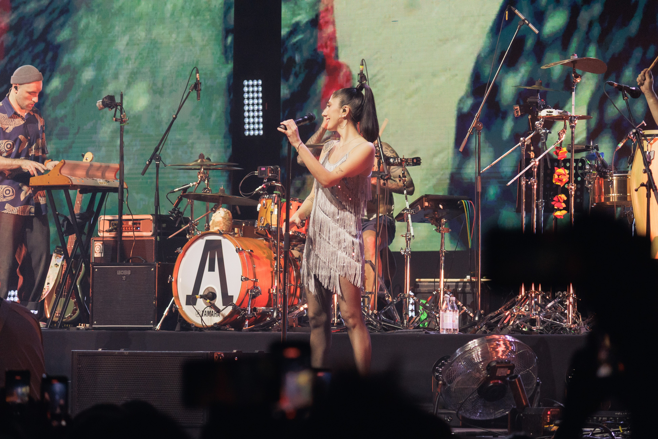 Концерт группы «Ленинград». Ярославль. 2026. Репортажный фотограф. Ярославль. Мелюшин Александр