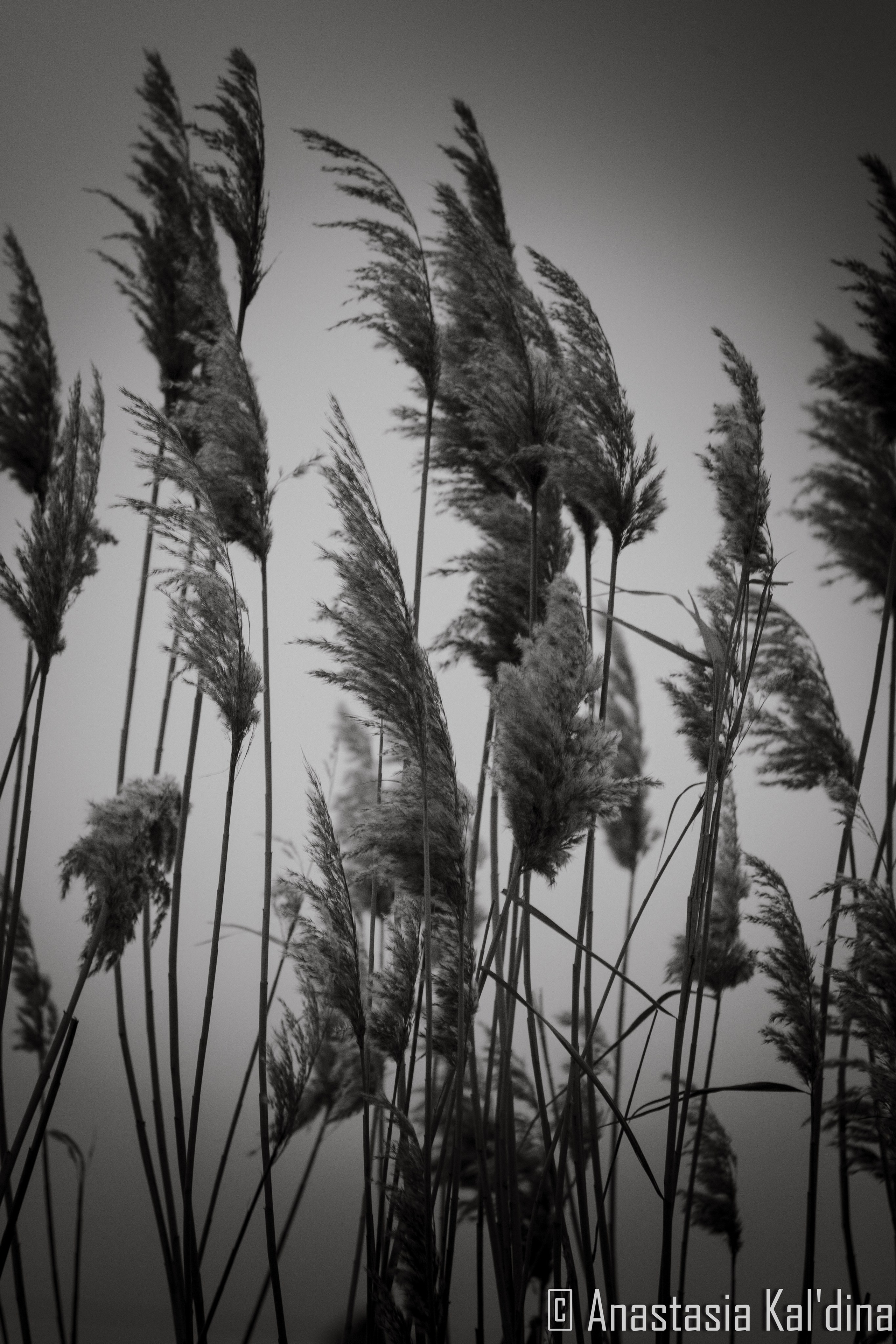 Городской пейзаж/архитектура. Фотограф в Волгограде и Волжском Анастасия Кальдина
