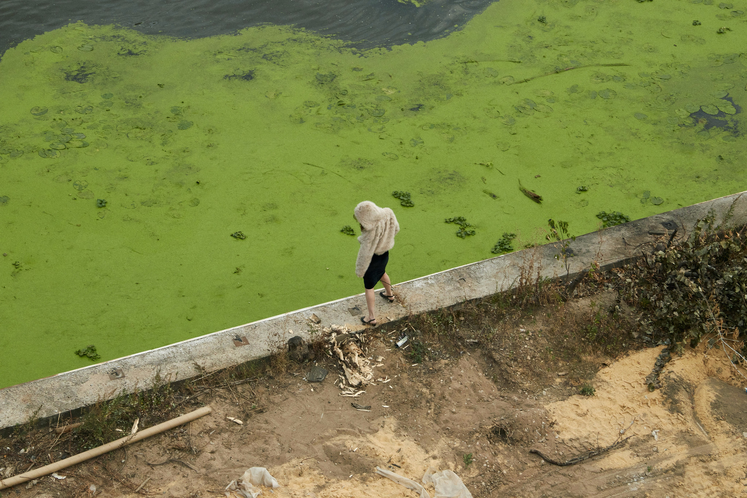 MISHEL. Andrew Valmus