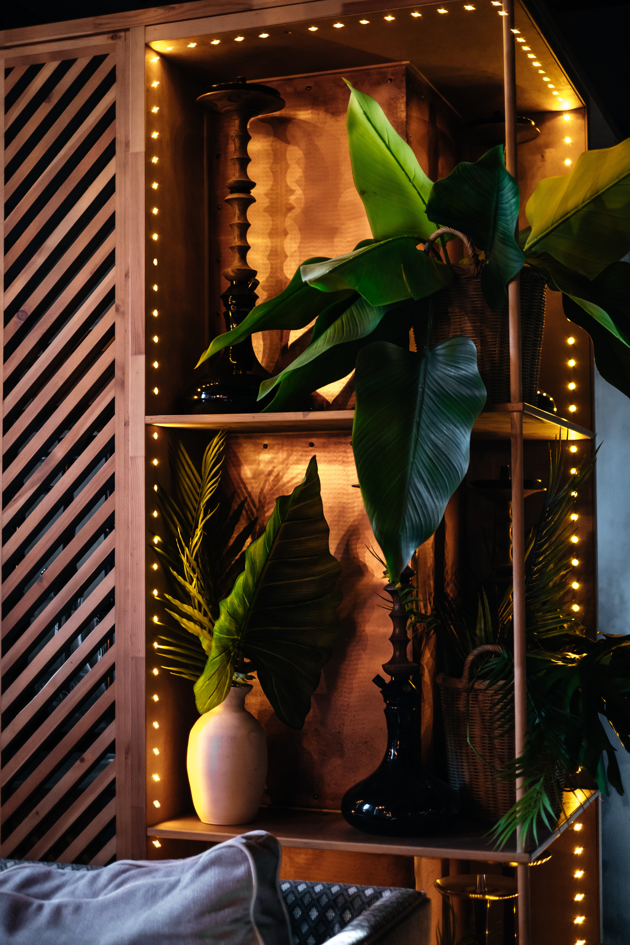 Шах и мята. Не смотри на других, смотри внутрь себя