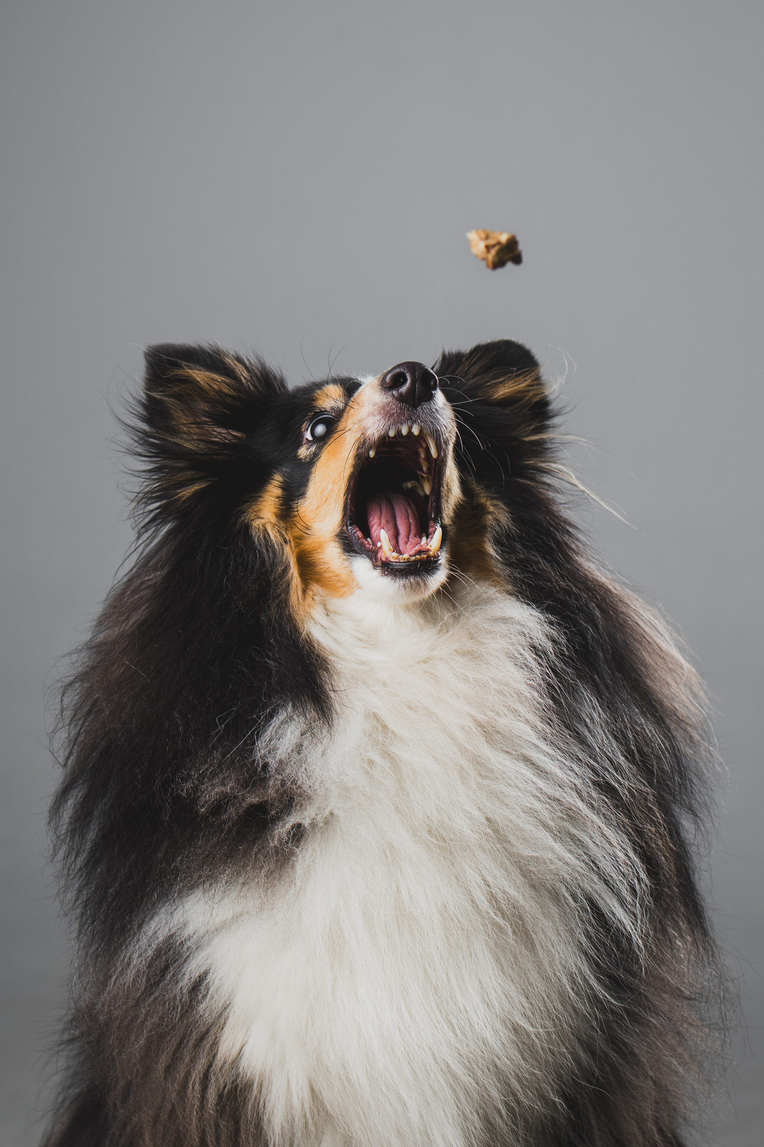 Воркшоп по импульсному свету