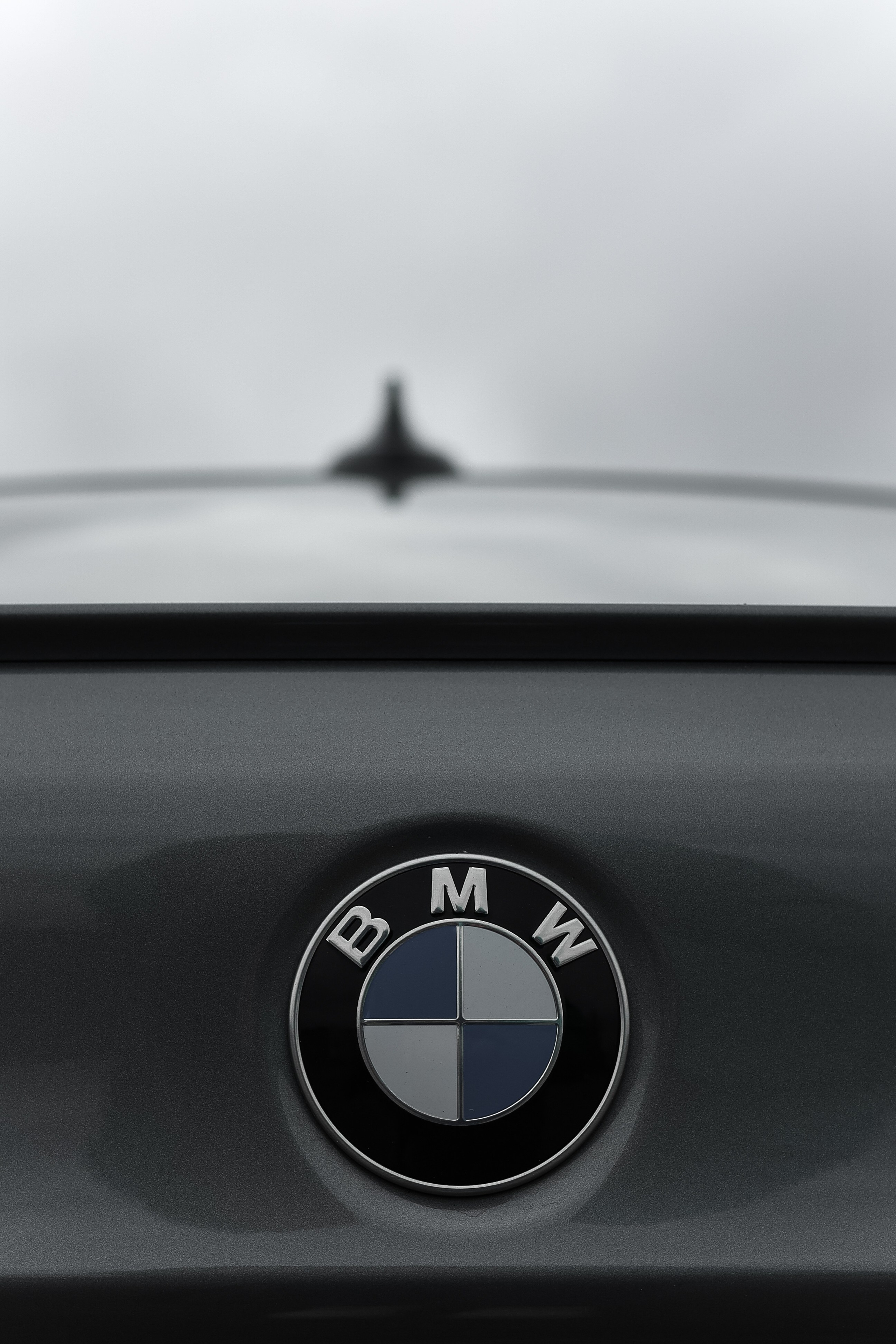 𝐵𝑀𝒲 𝑀5. Wedding Photographer from St.Petersburg