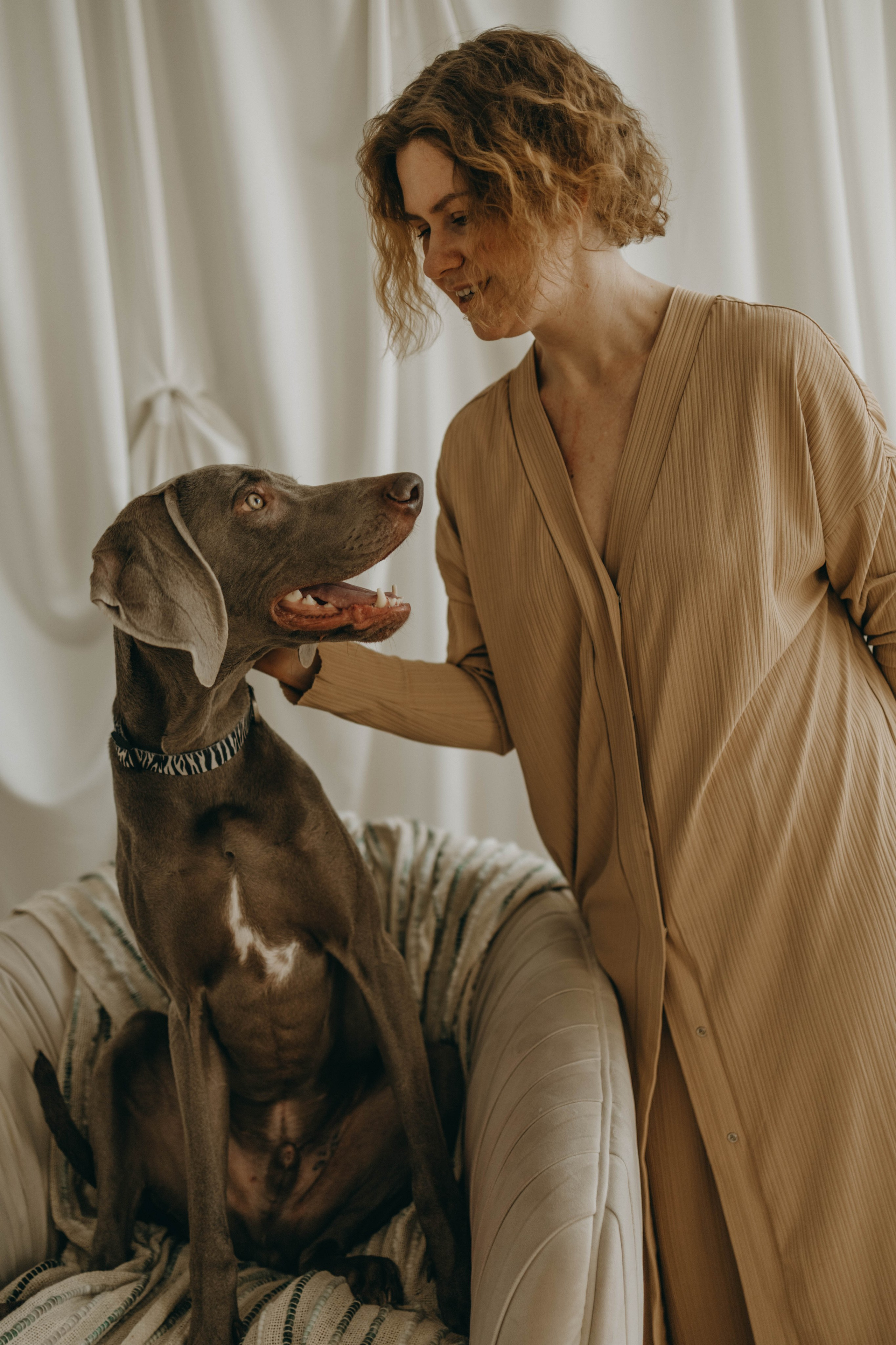 Фотосессия в студии с собакой. Фотограф-анималист в Екатеринбурге | Кристина