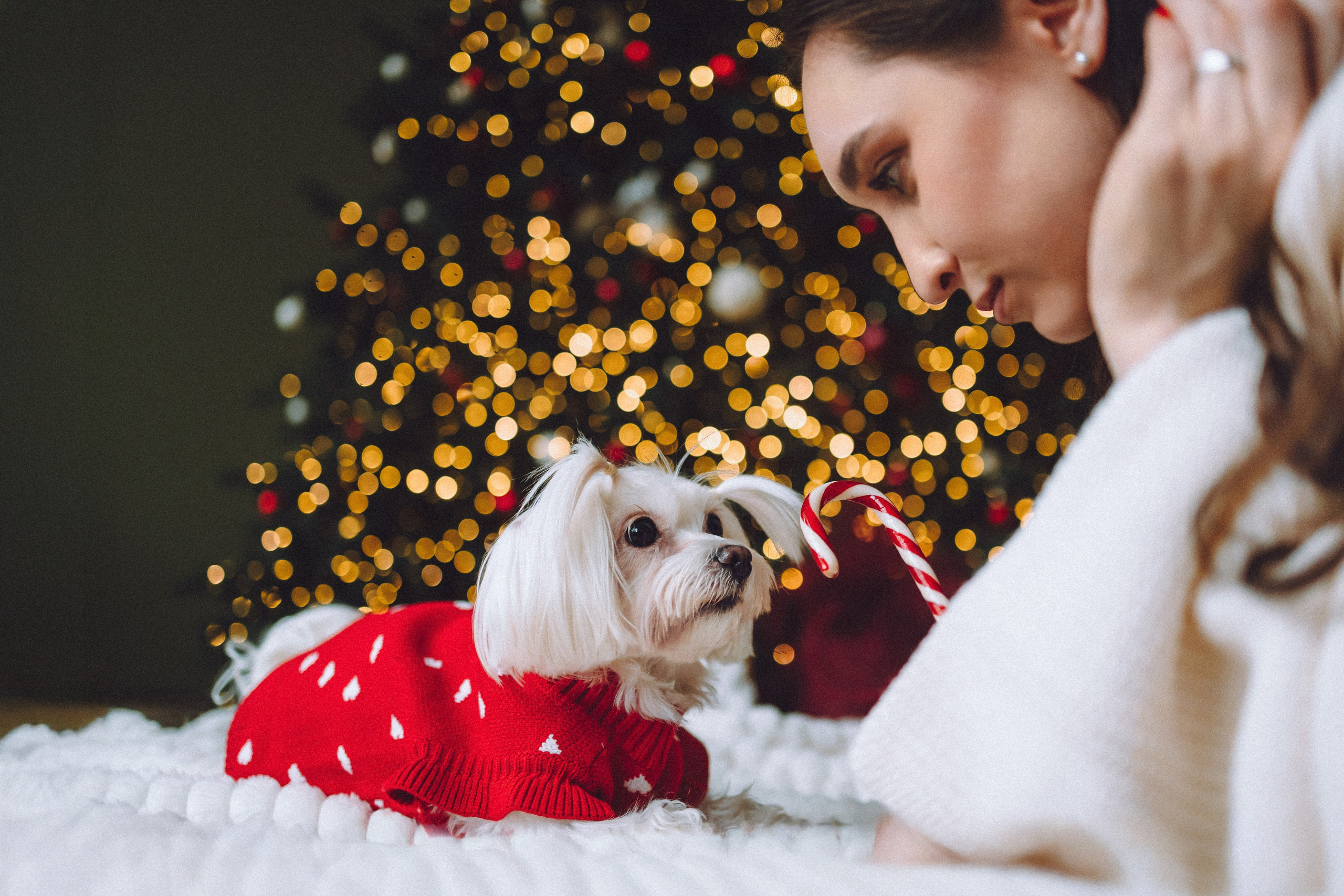 Констанция и Молли