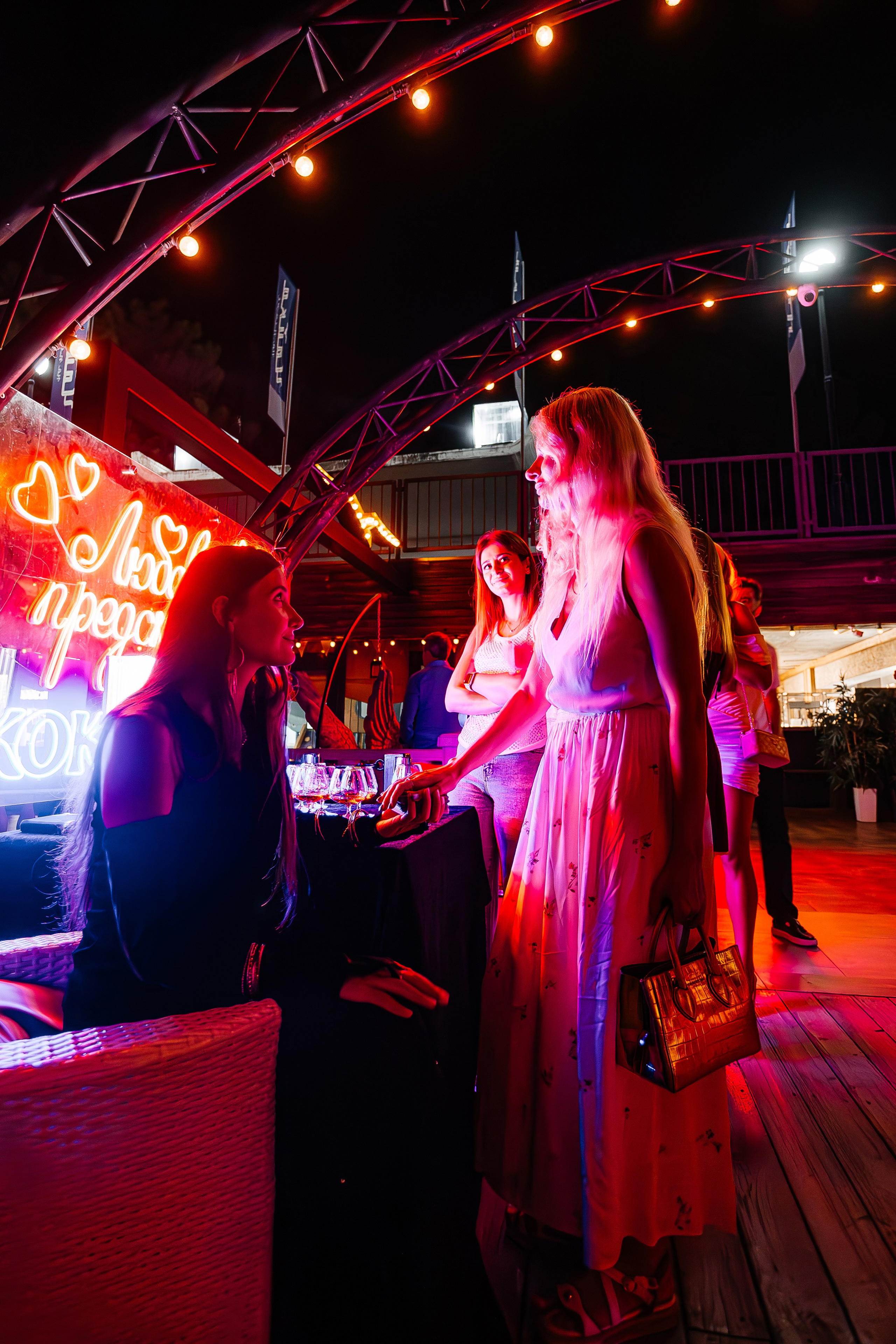 Бурито_Чайка_на_пляже_Ялта 23.08.2024. Аминов Руслан | Фотограф