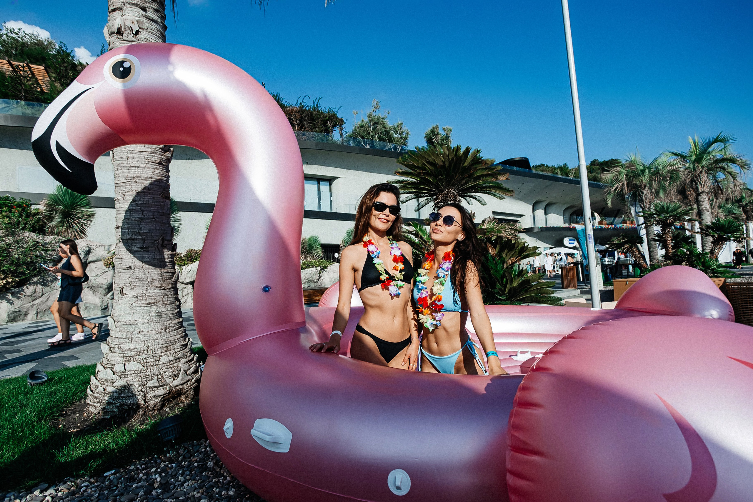 Мрия_Фестиваль_еды_Гастрополис_29.08.2024. Аминов Руслан | Фотограф