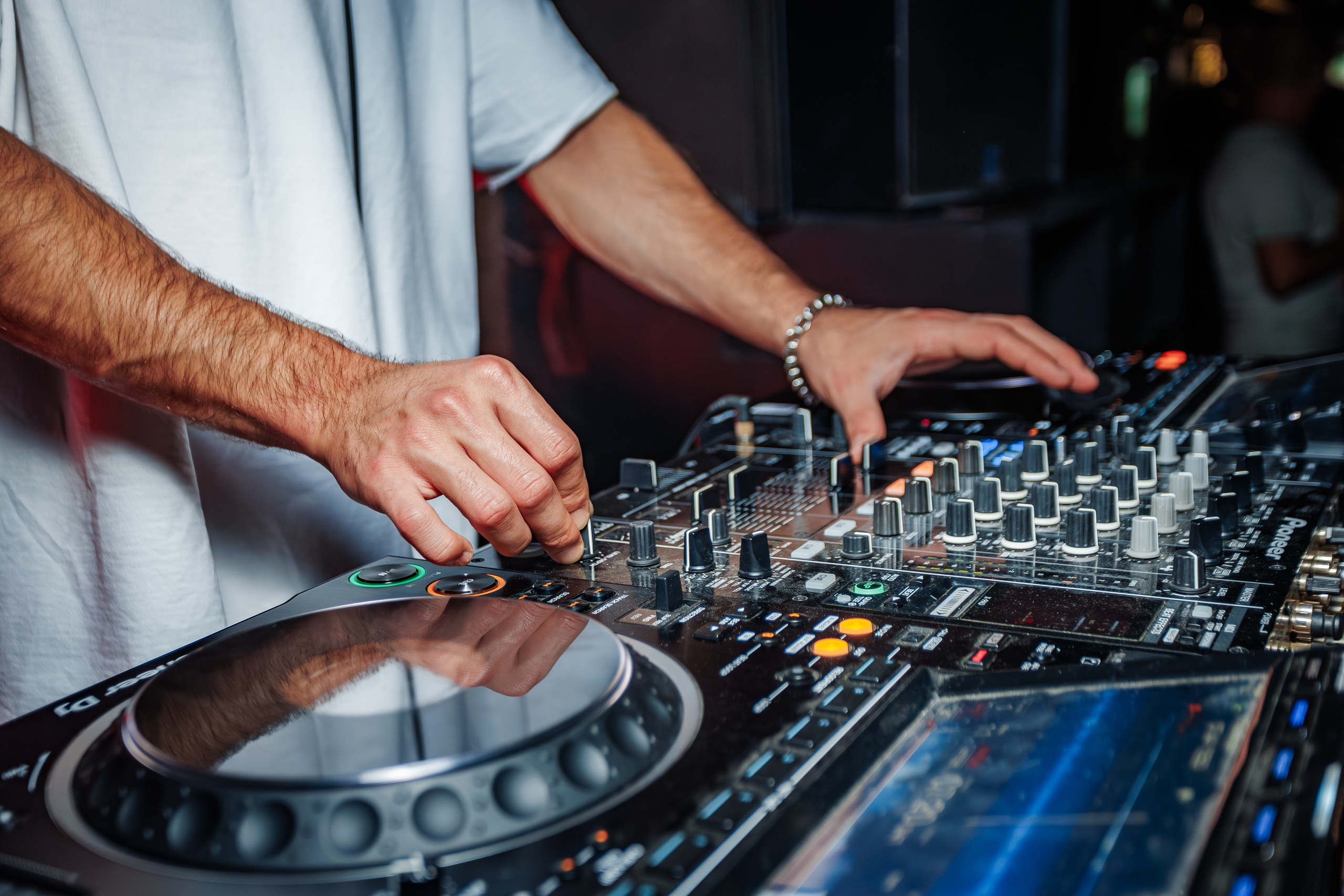 «Митя Фомин"_Чайка на пляже_Ялта_28.06.2025 г. Аминов Руслан | Фотограф