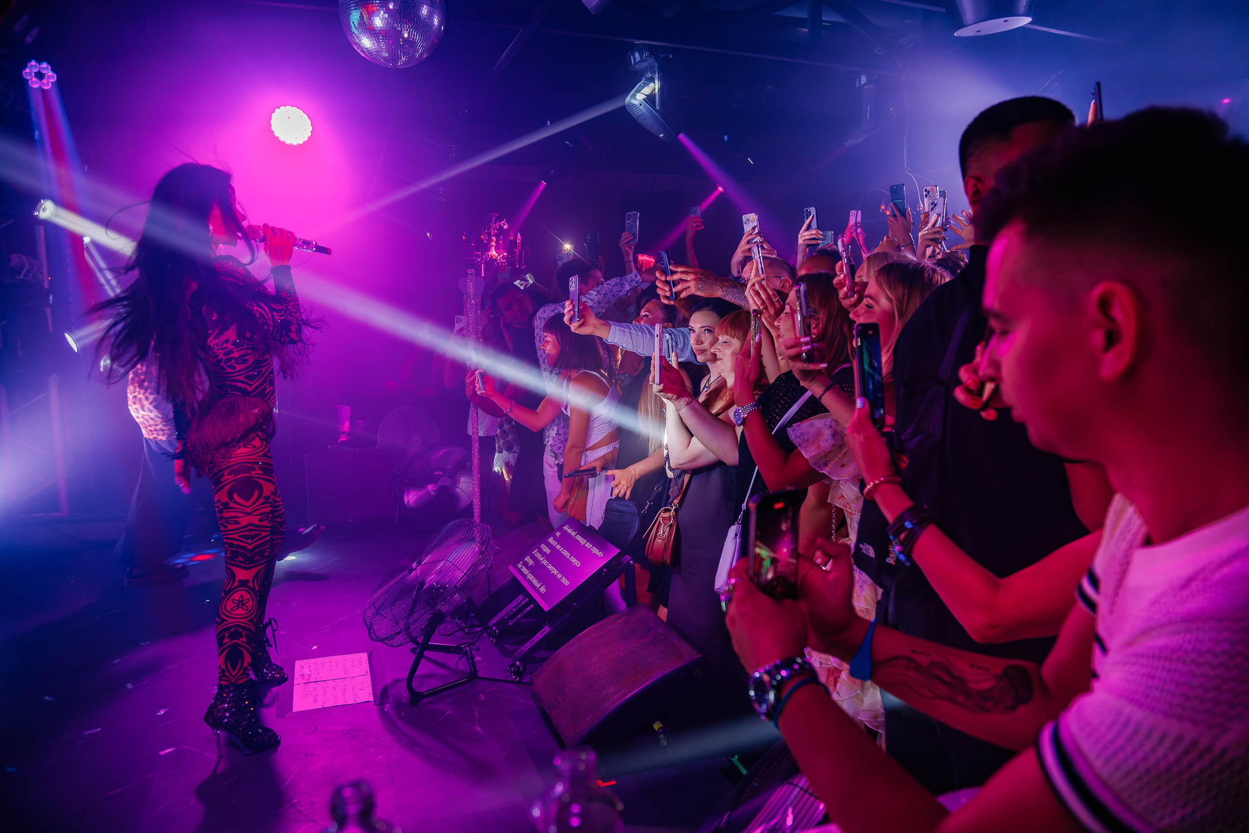 «Бьянка"_Чайка на пляже_Ялта_25.07.2025 г. Аминов Руслан | Фотограф