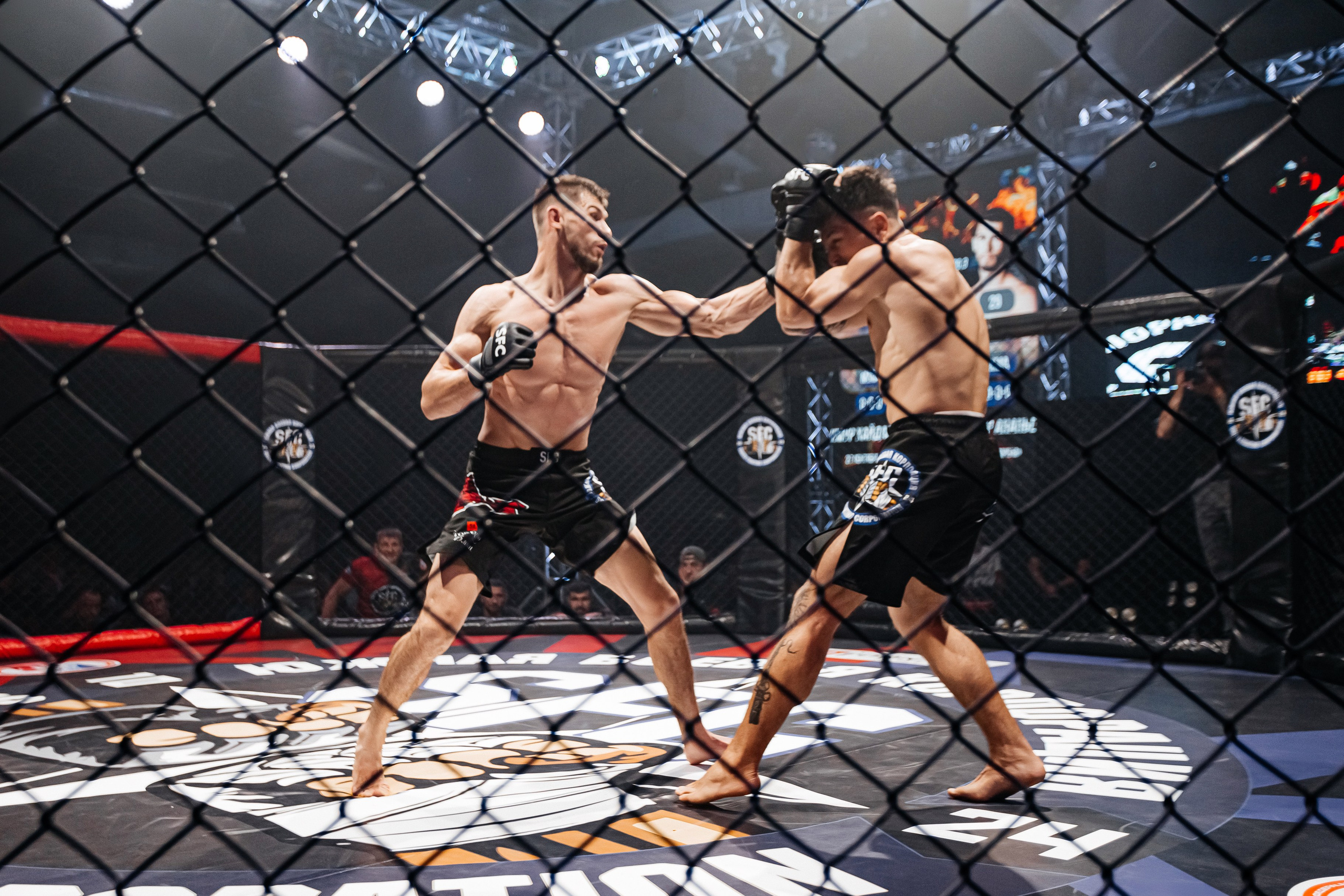 SFC III турнир по боям ММА. Аминов Руслан | Фотограф