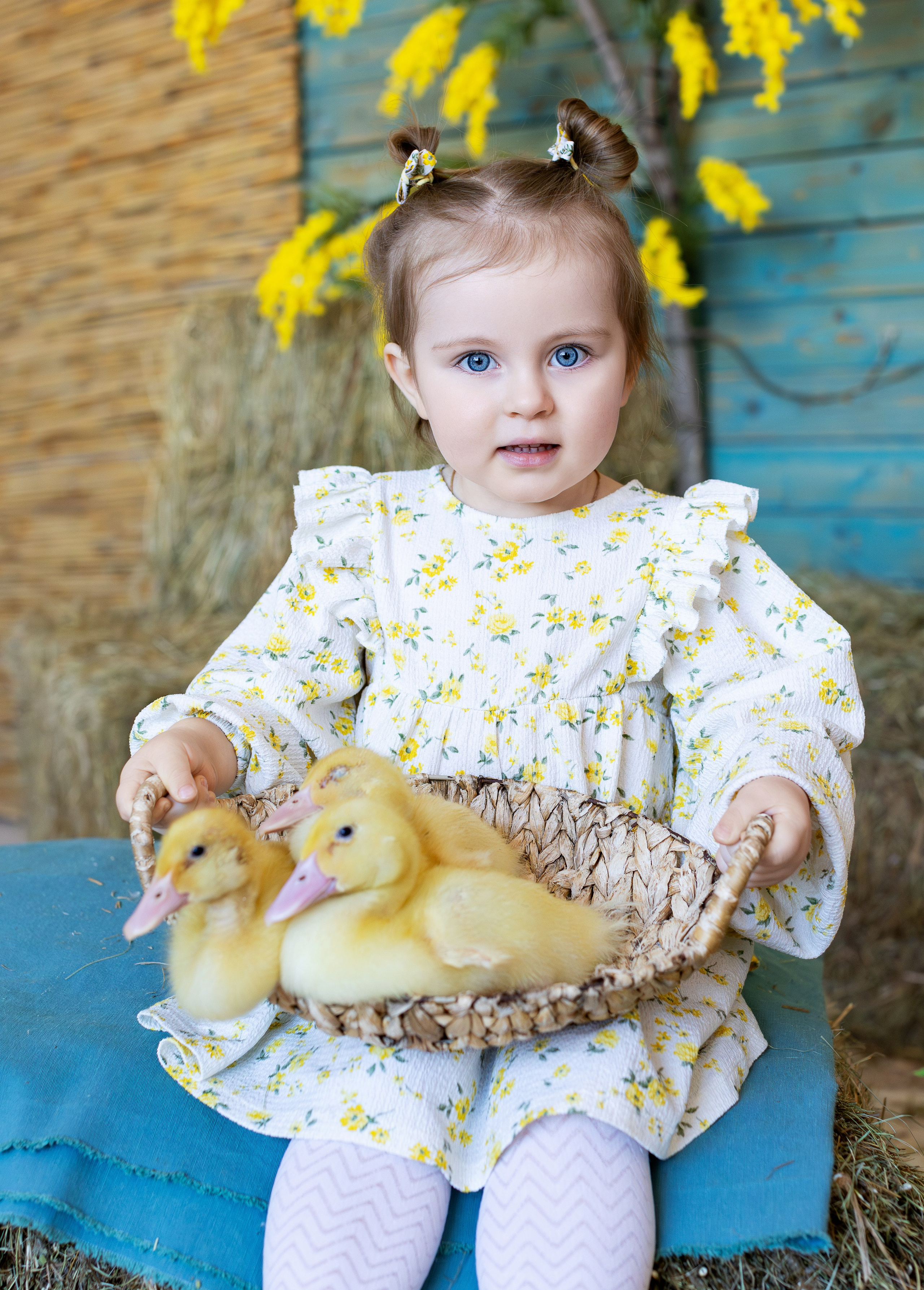 Фотосесии с Утятами и Кроликами (Пасхальные Фотосессии). Семейный и Детский фотограф в Москва Скворцова Татьяна