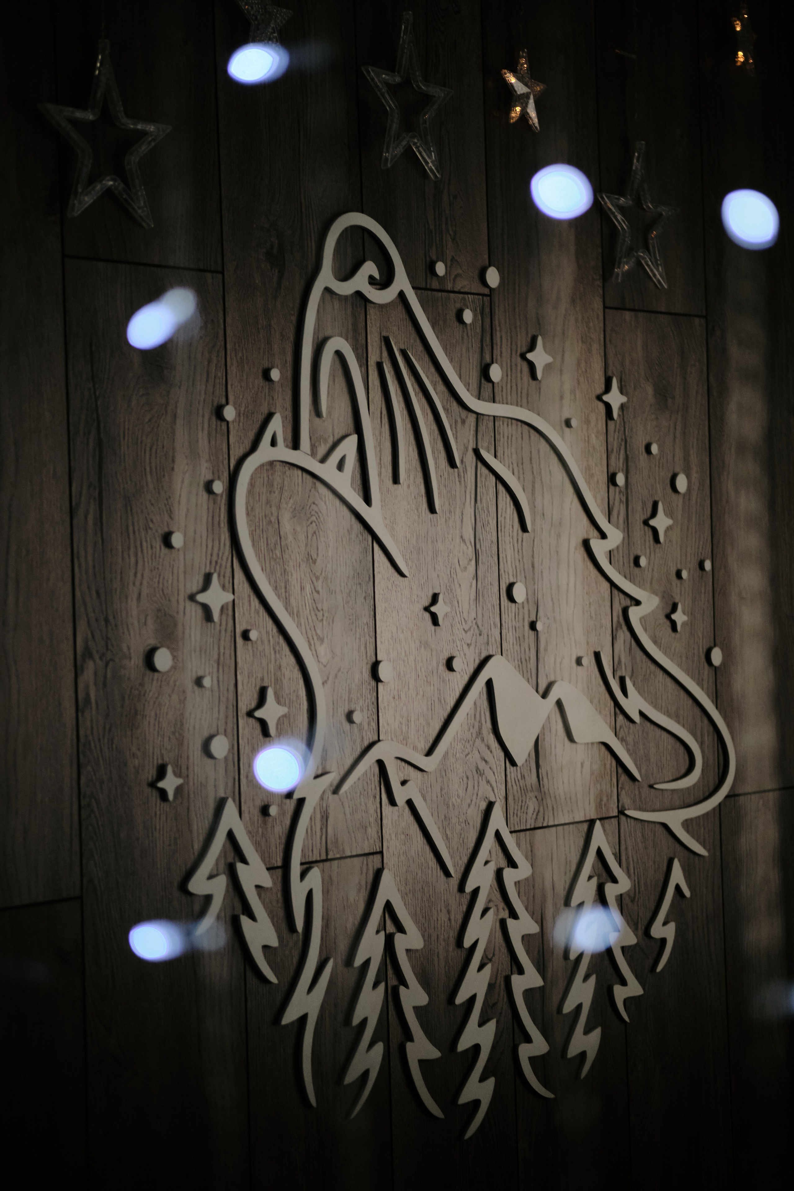 Цветочная 12. Свадебный и семейный фотограф в Новокузнецке Иван Иванов