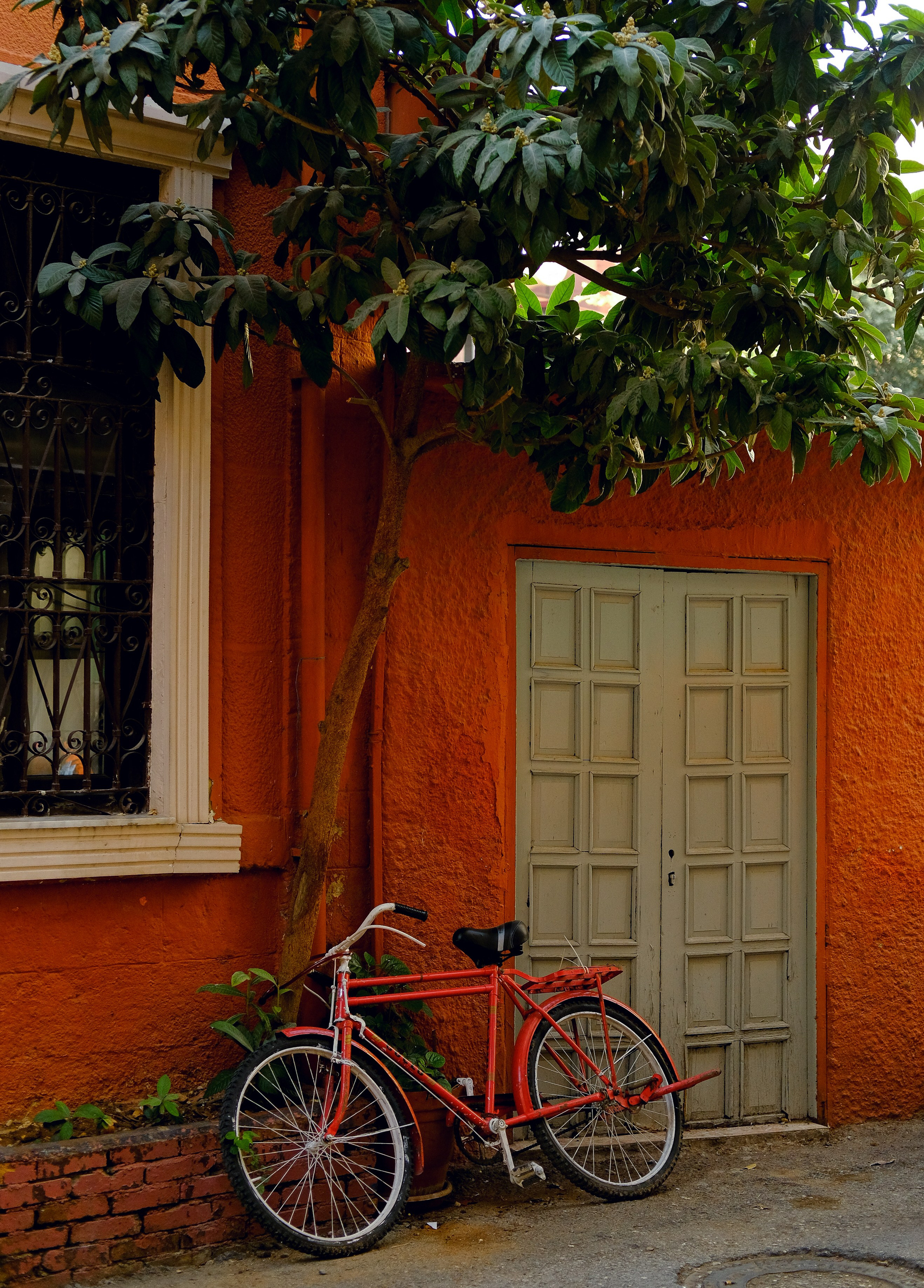 Lycian Way: Turkey. Обо мне