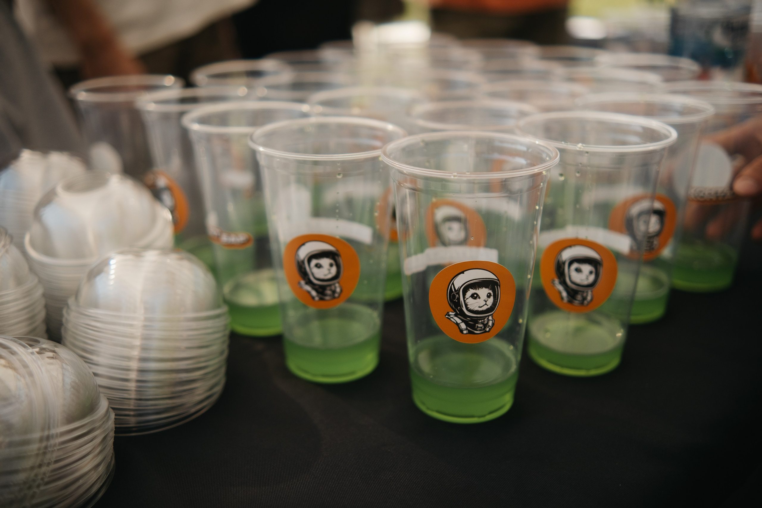 VECTOR FEST. Обо мне