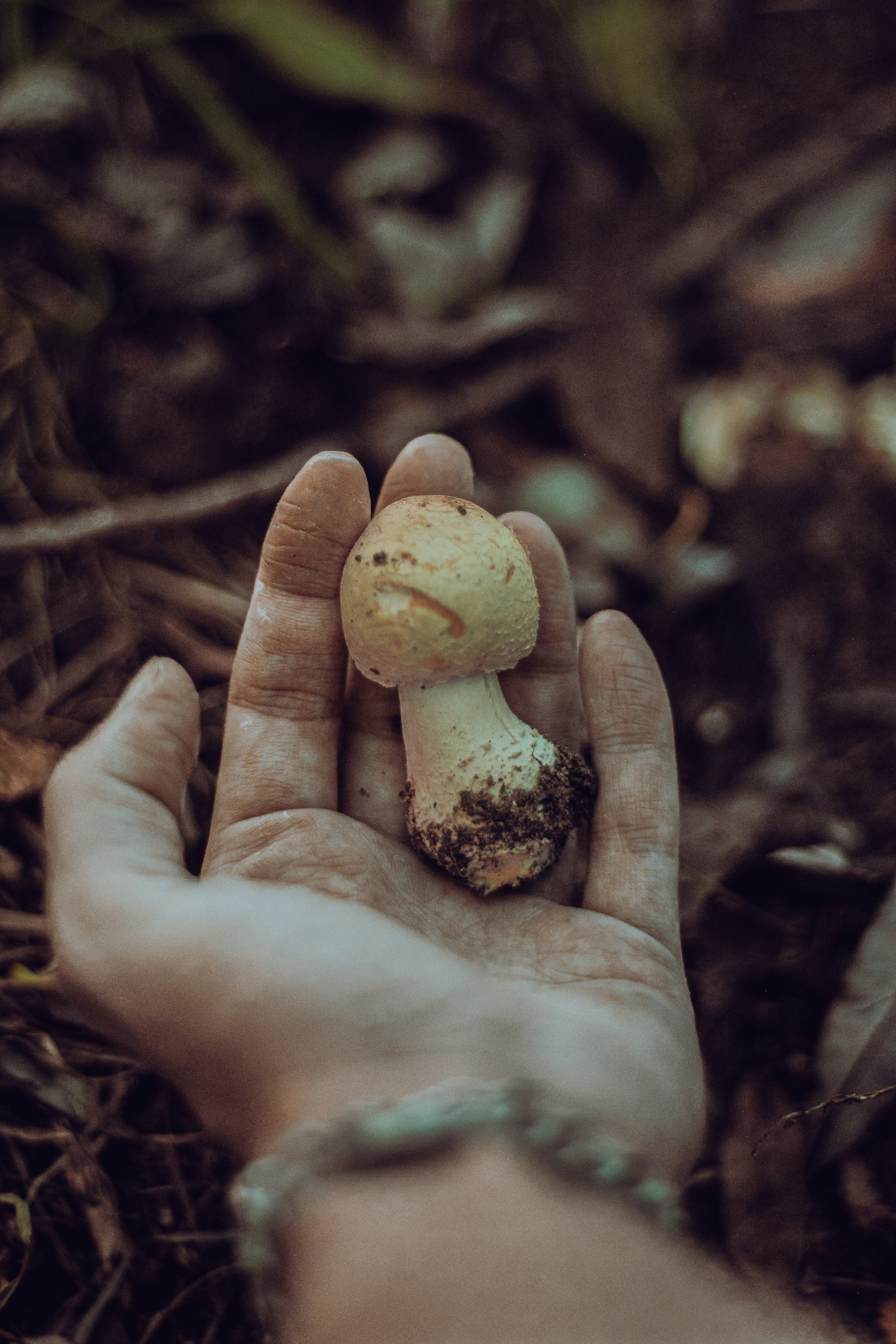 Грибная могила «По мотивам убийства». Фотограф Москва, портрет, стрит, репортаж. Художественная фотосессия