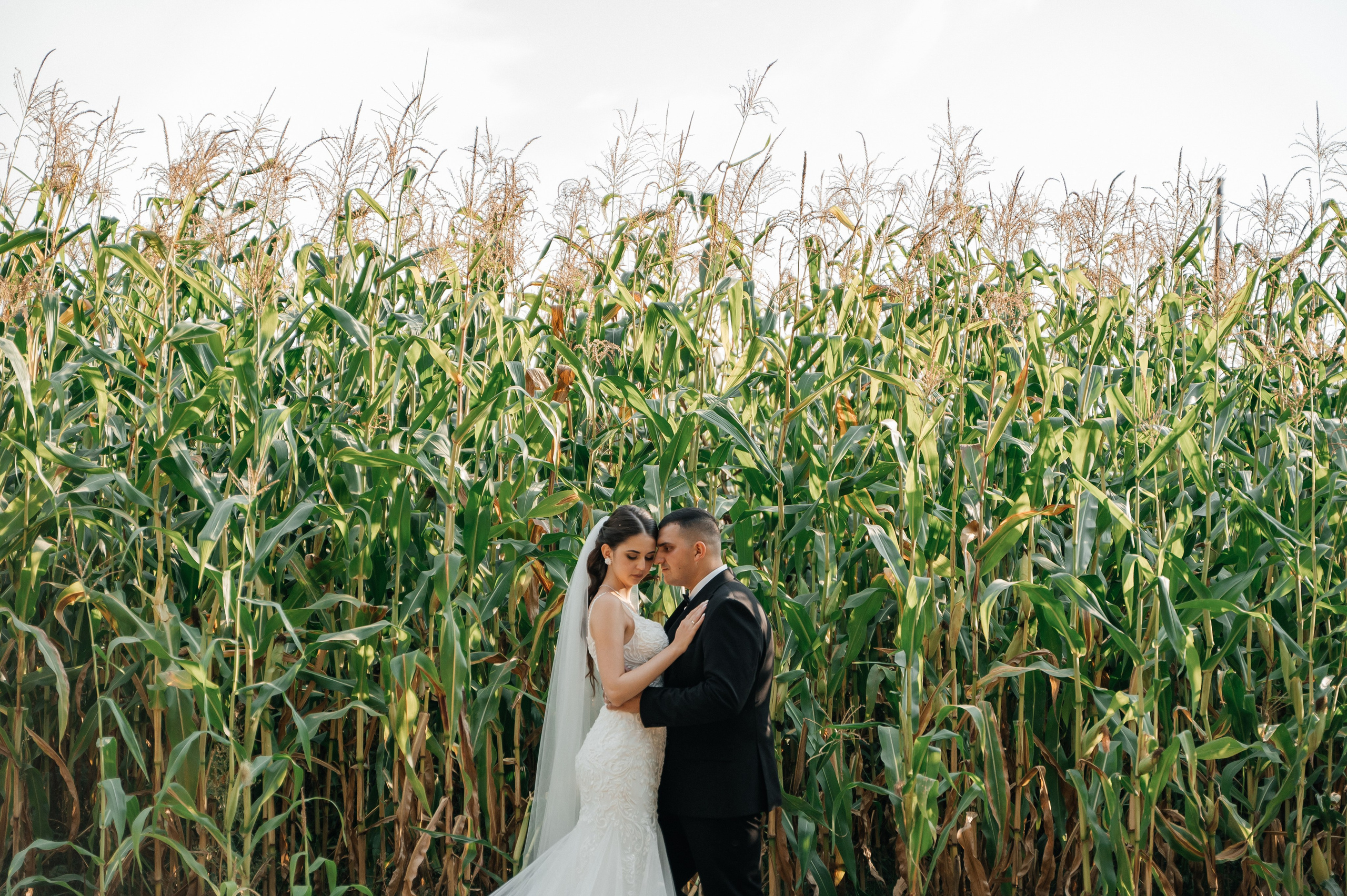 Никита и Аня 31.08.2024. Свадебный и семейный фотограф в городе Смоленске
