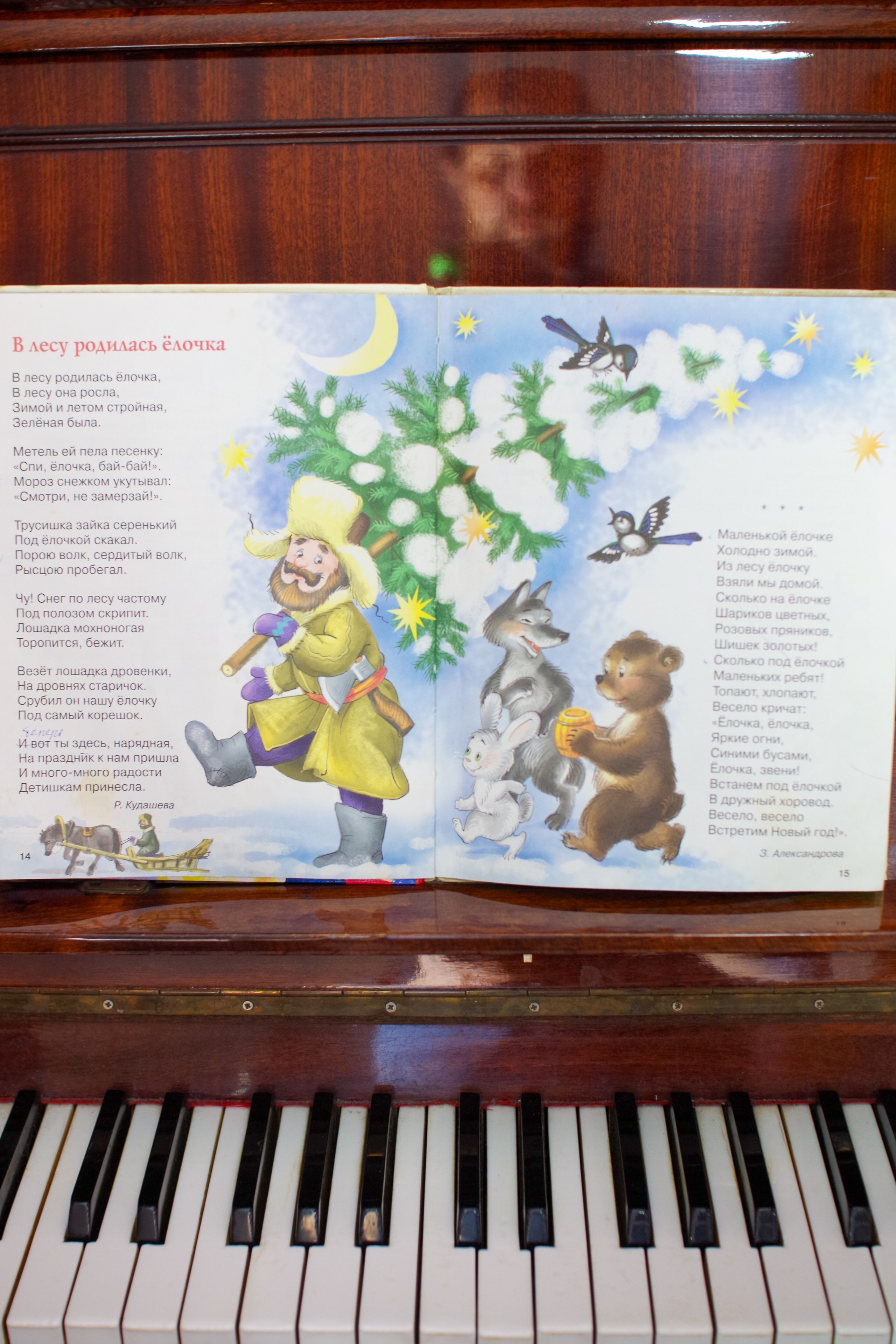 Теремок на Новый год. Портретный фотограф Денис Милютин