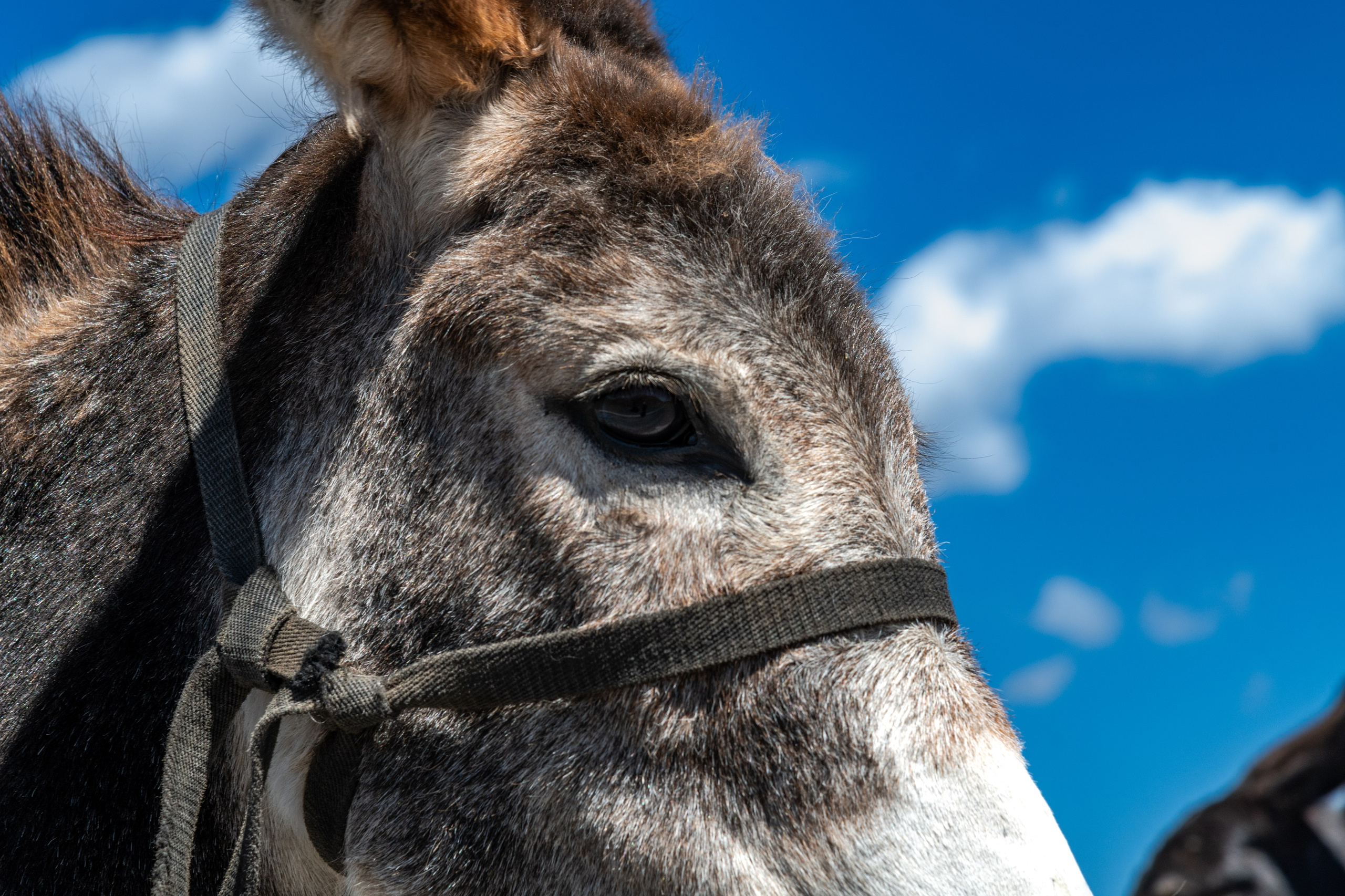 Кыргызстан. Фотограф для дизайнеров, застройщиков и бизнеса — интерьеры и архитектура — Свободный Роман в Москве и по России