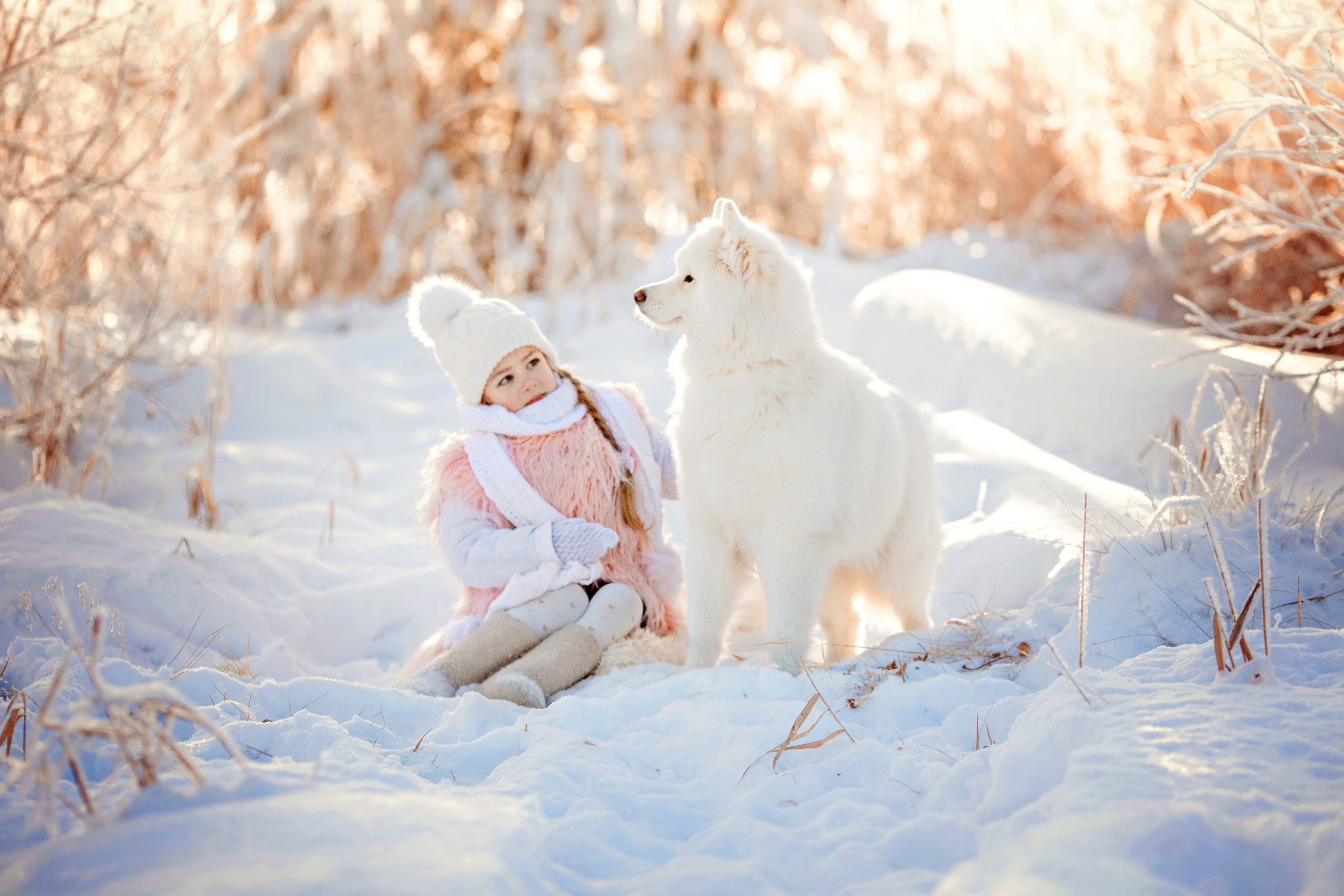 Домашние животные (фотосессия питомцев). Семейный фотограф в Екатеринбурге