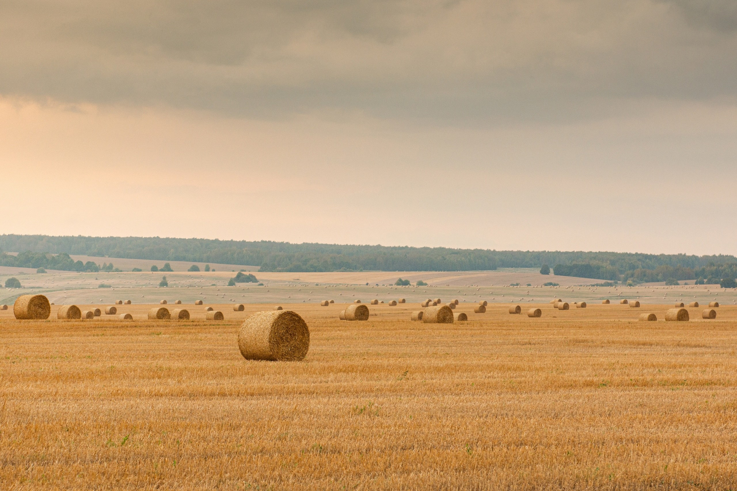 Обо мне. Портретная и репортажная съёмка