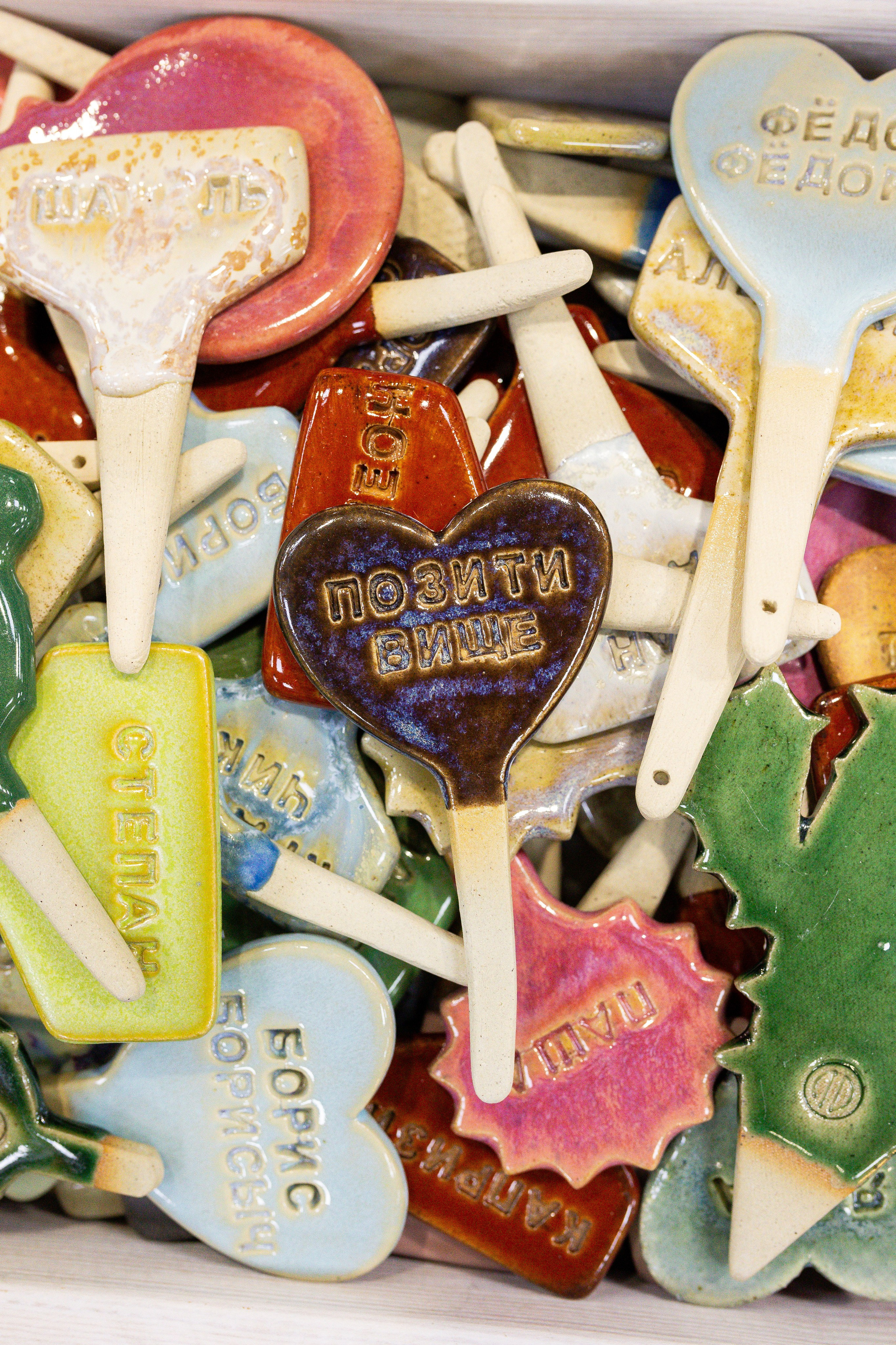 Орхидиум май 2025. Александра Куликова фотограф, Москва