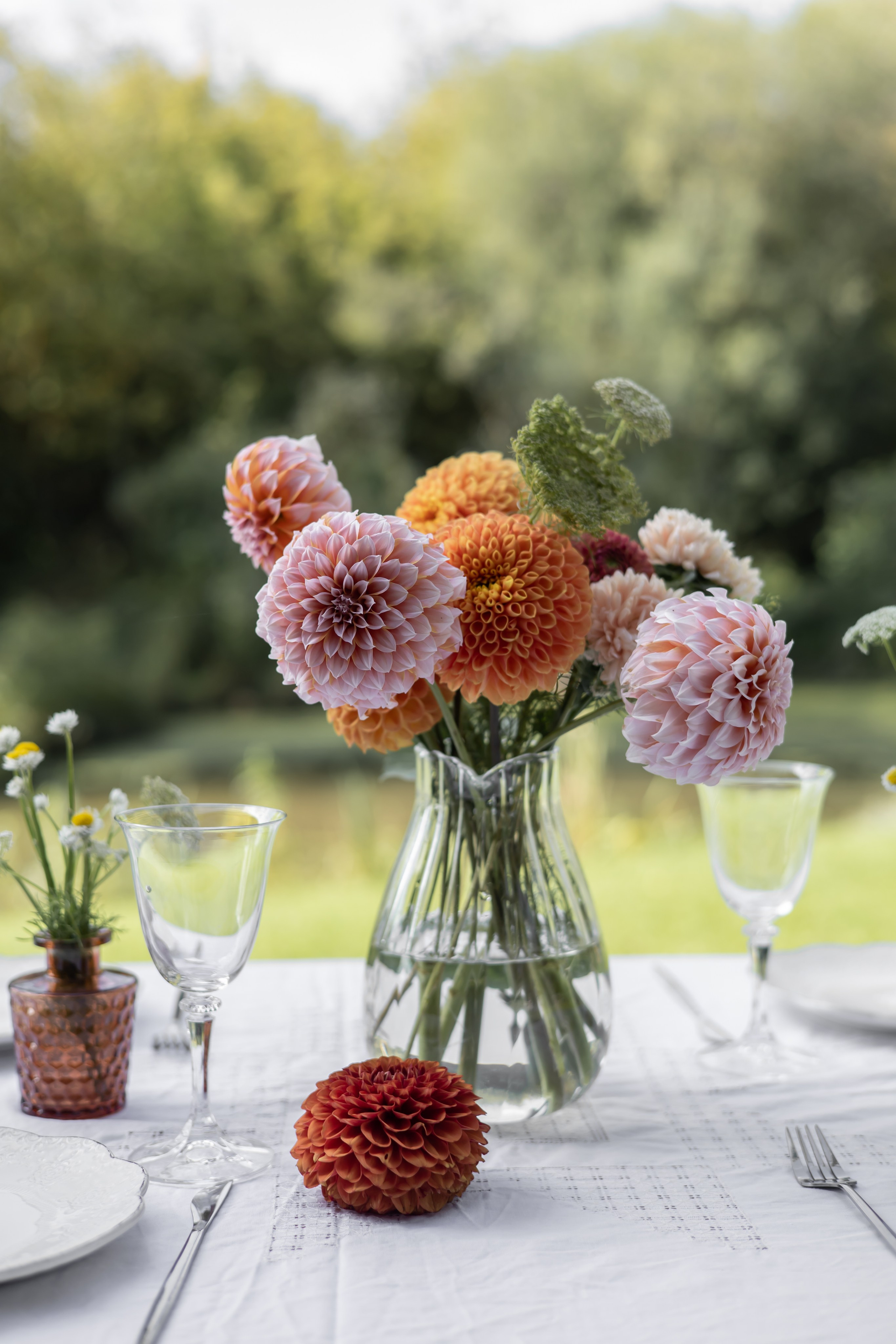 ДИНИЯ. Фотограф Элла Ефимова