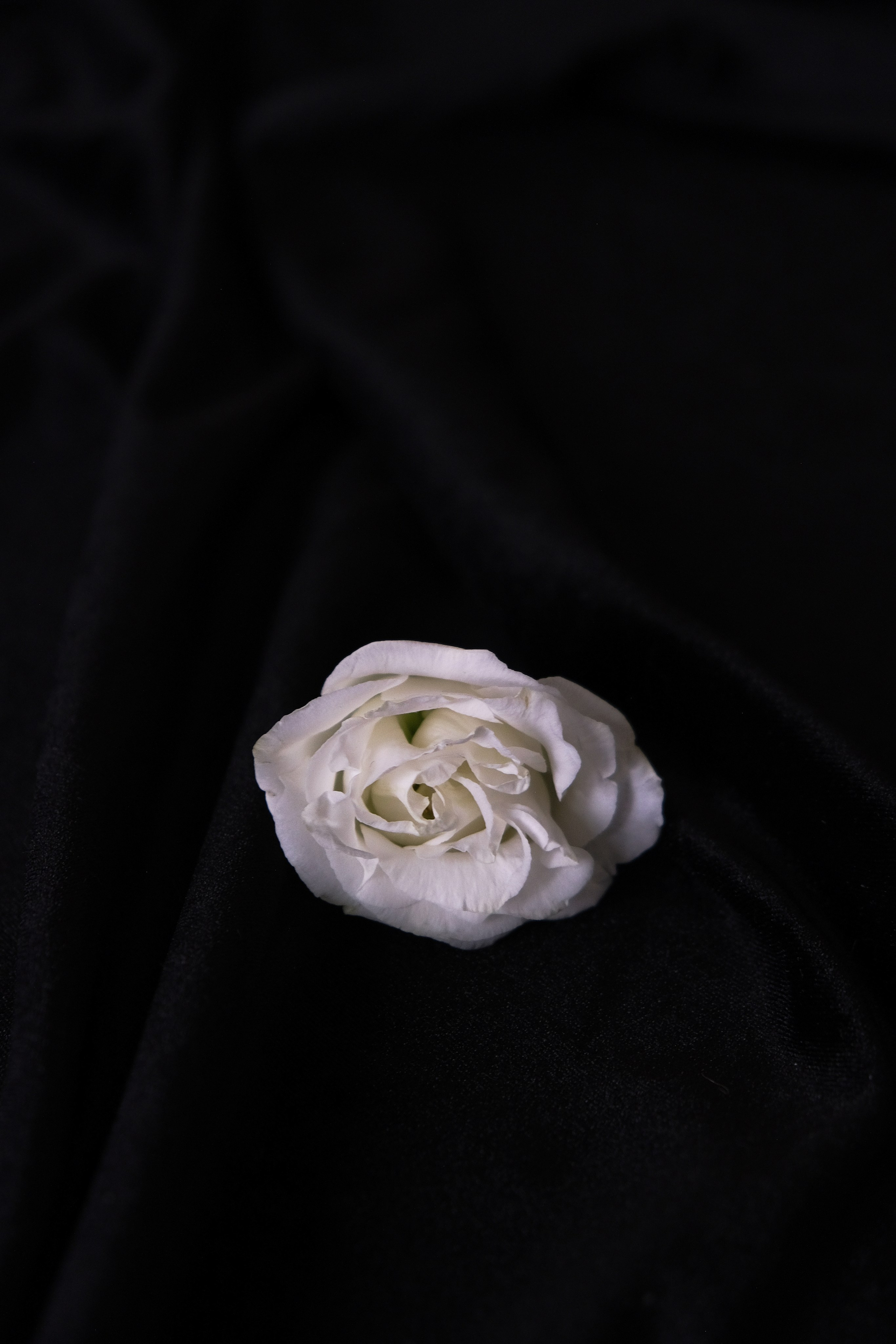 Анастасия. Фотограф Владивостока — Барченко Арина