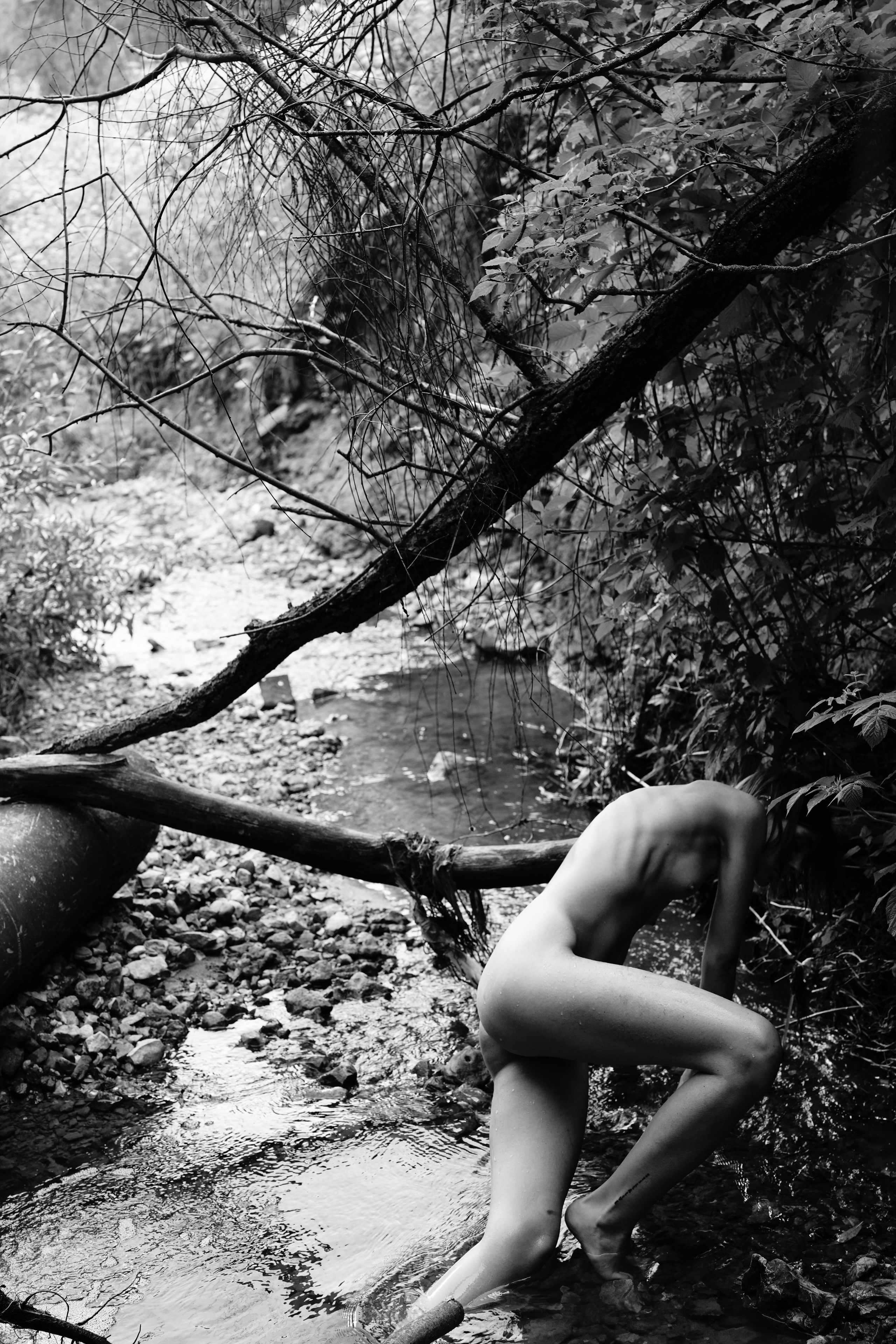 6. Photographer Dmitry Chapala