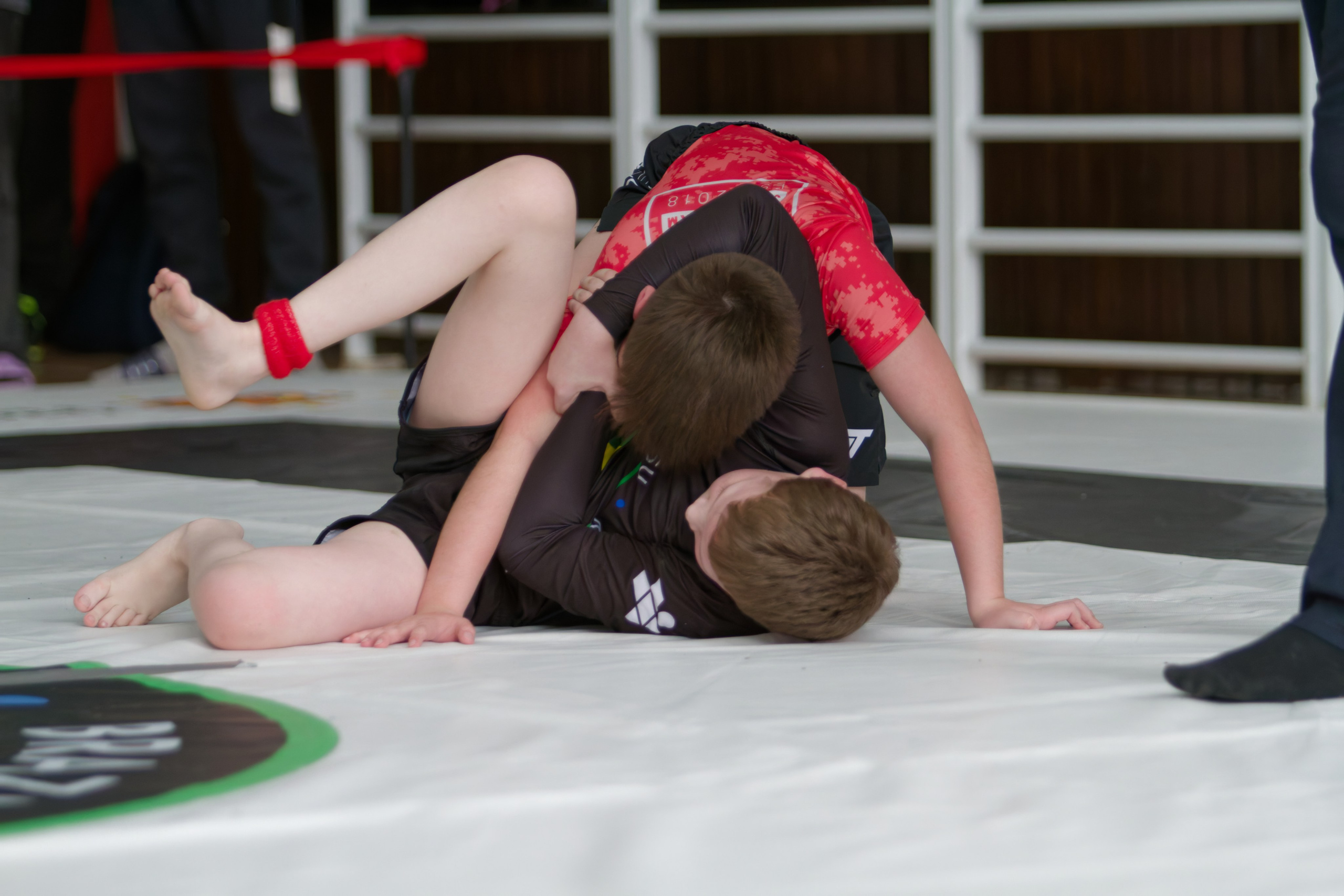 Борьба. Джиу-джитсу 26.04.2025. Репортажный и спортивный фотограф в г. Пермь Зильберг Павел