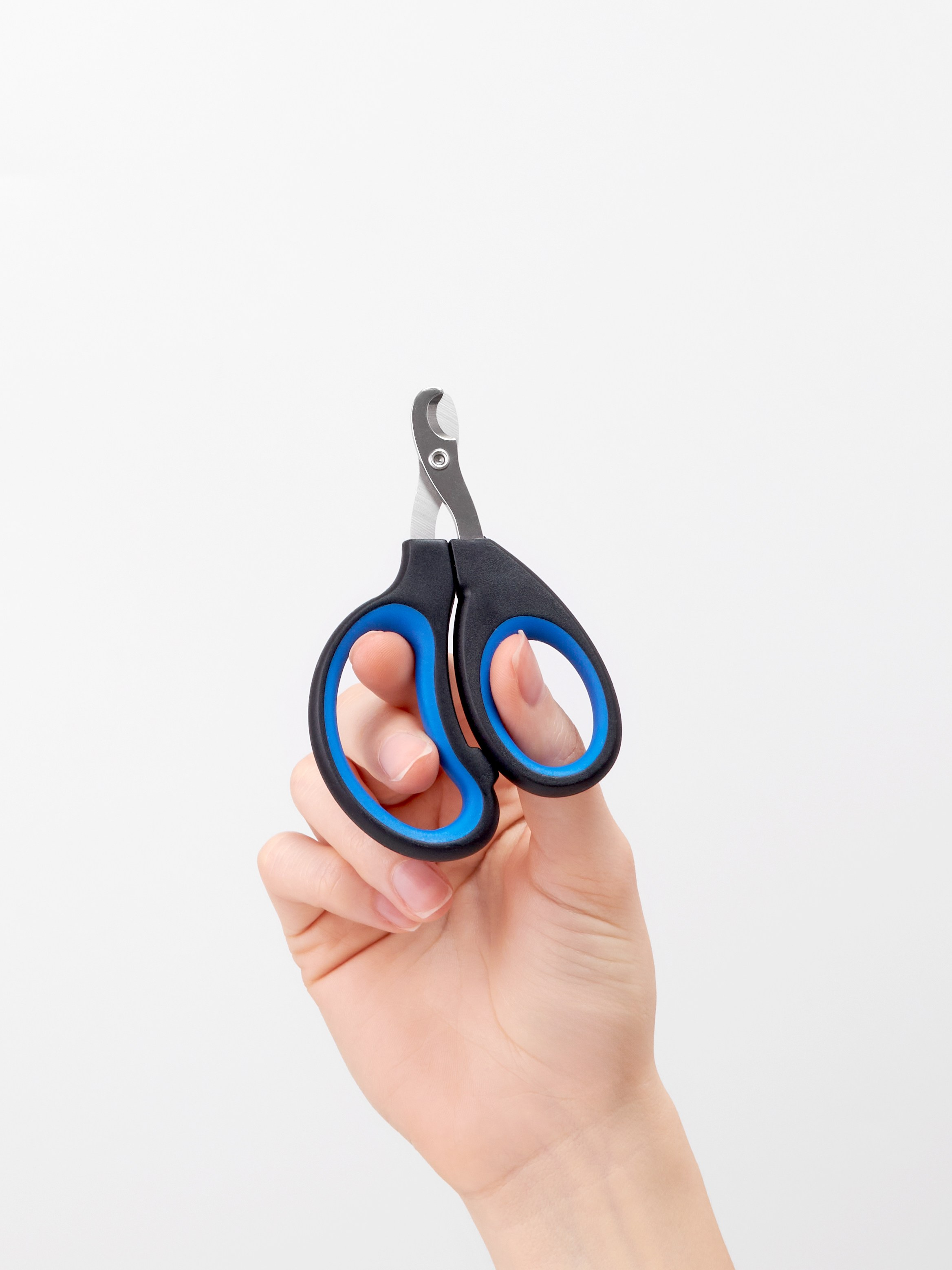 Предметная фотосъёмка синего когтереза для животных в руке модели на белом фоне