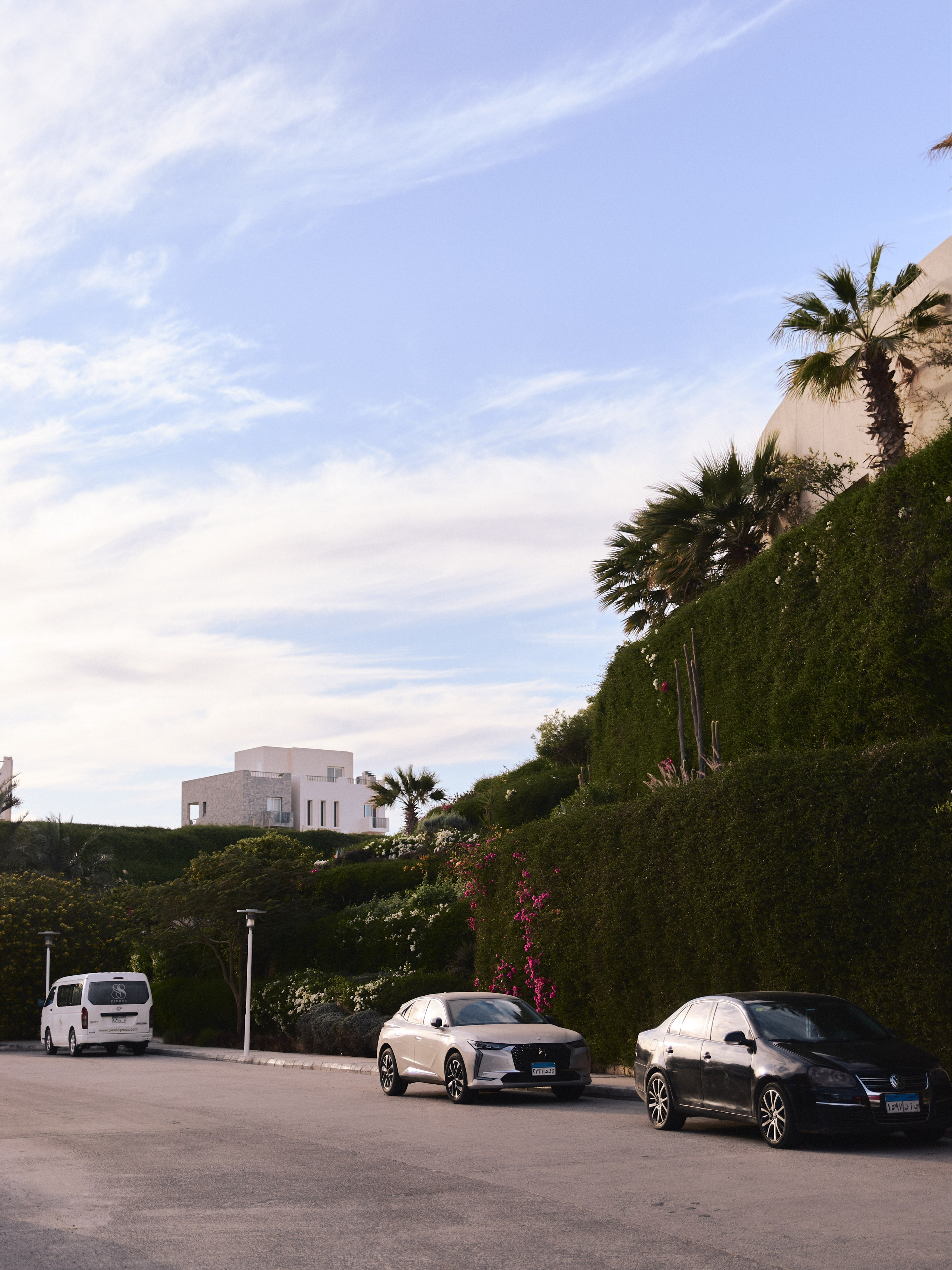 Улицы. Jorgis Talè — photographer, kind person, teacher of arts and other mag