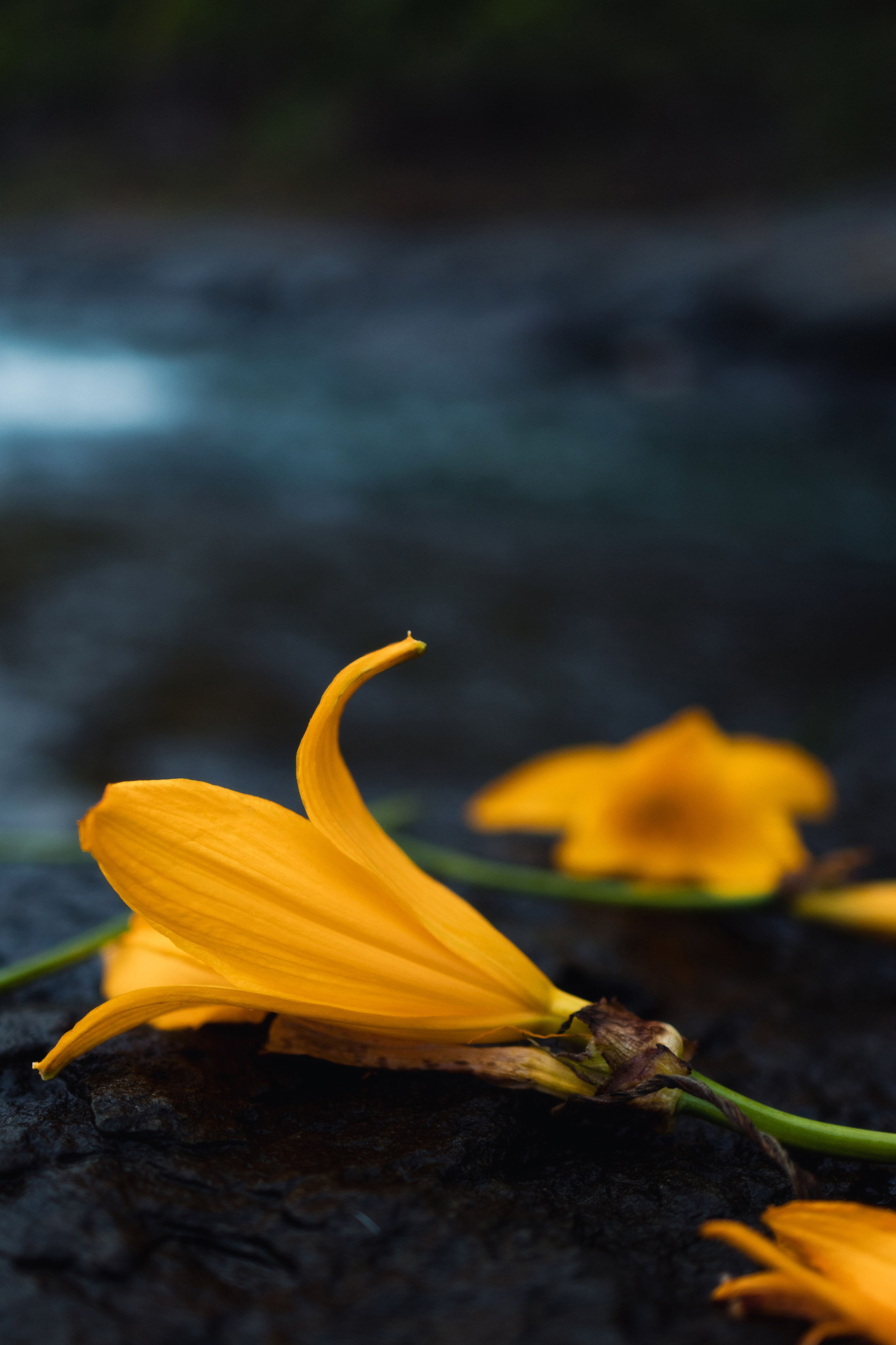 Как выбрать фотографа, который тебя раскроет?. Фотограф Алексей Селин Владивосток, Уссурийск, Находка, Артем