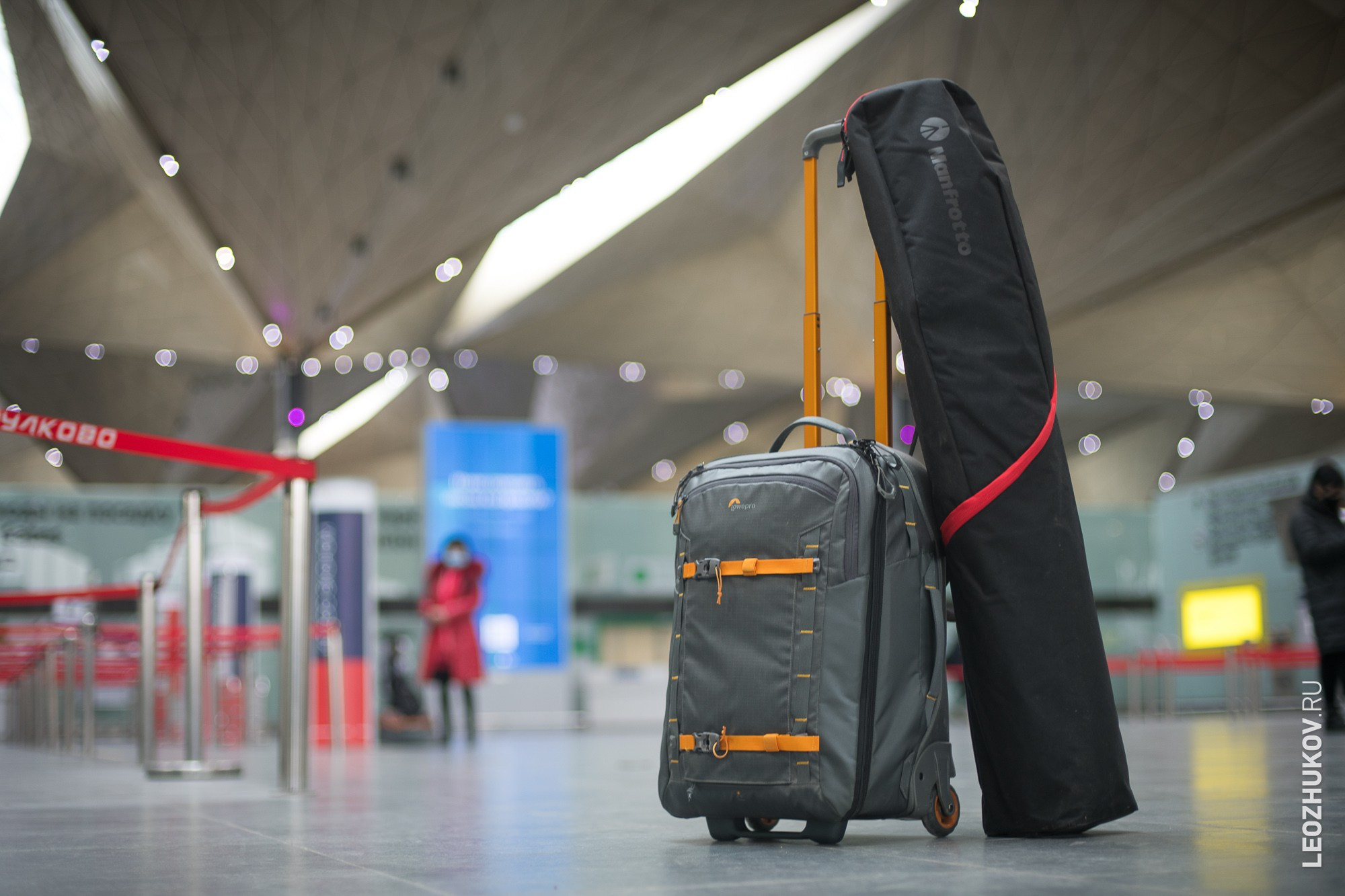 Фото-сумка на колёсах Lowepro Whistler RL 400 AW II — обзор. Sports photographer Leonid Zhukov