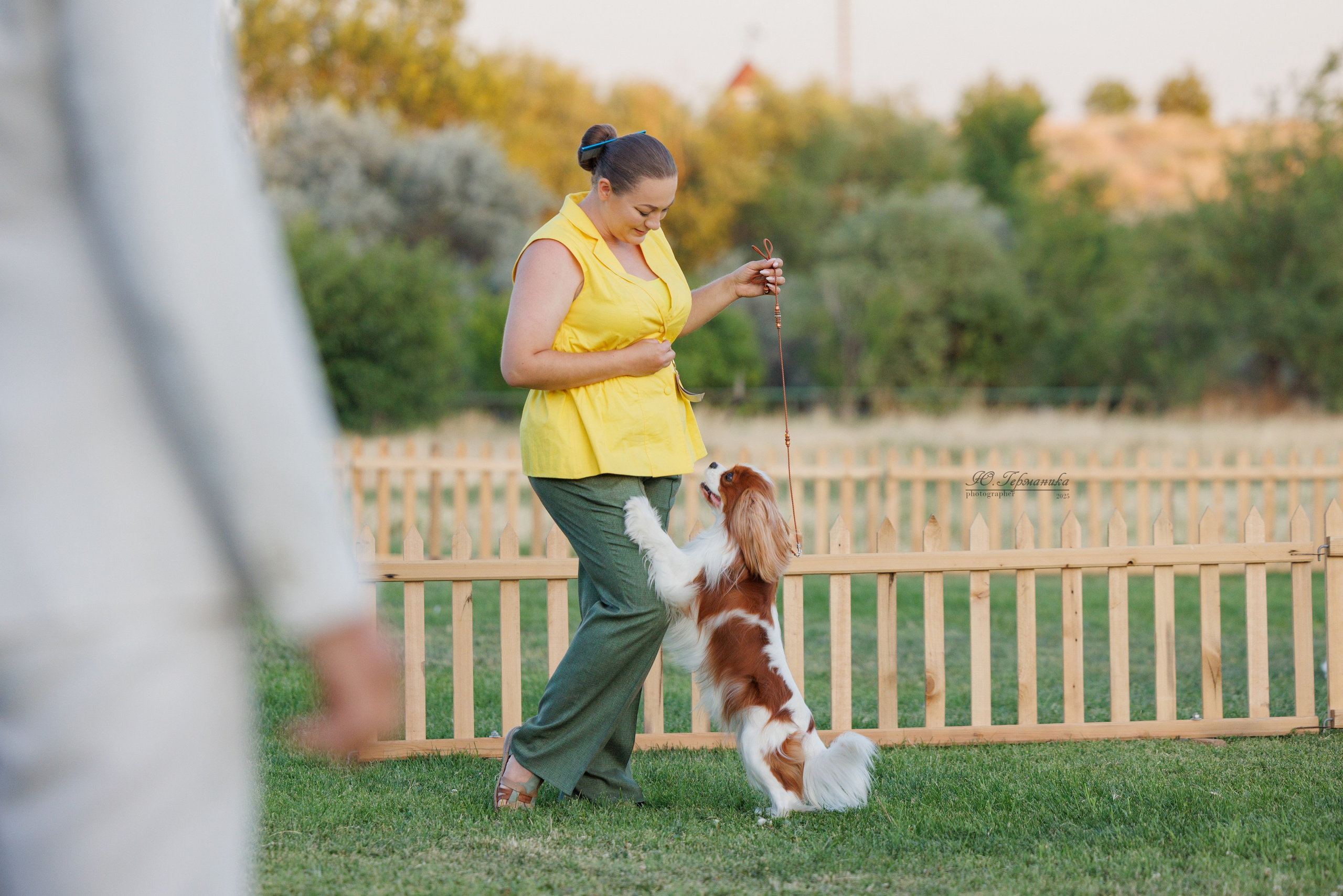 Ереван 3хCACIB 23-25.06.2025. Фотограф-анималист Юлия Германика