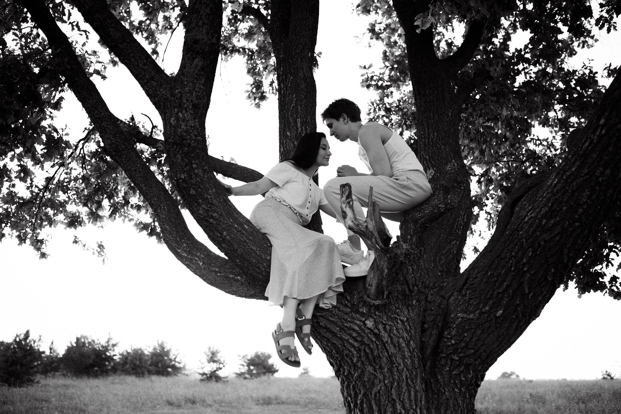 Поле клевера. Фотограф Диана Хасанова, г. Казань