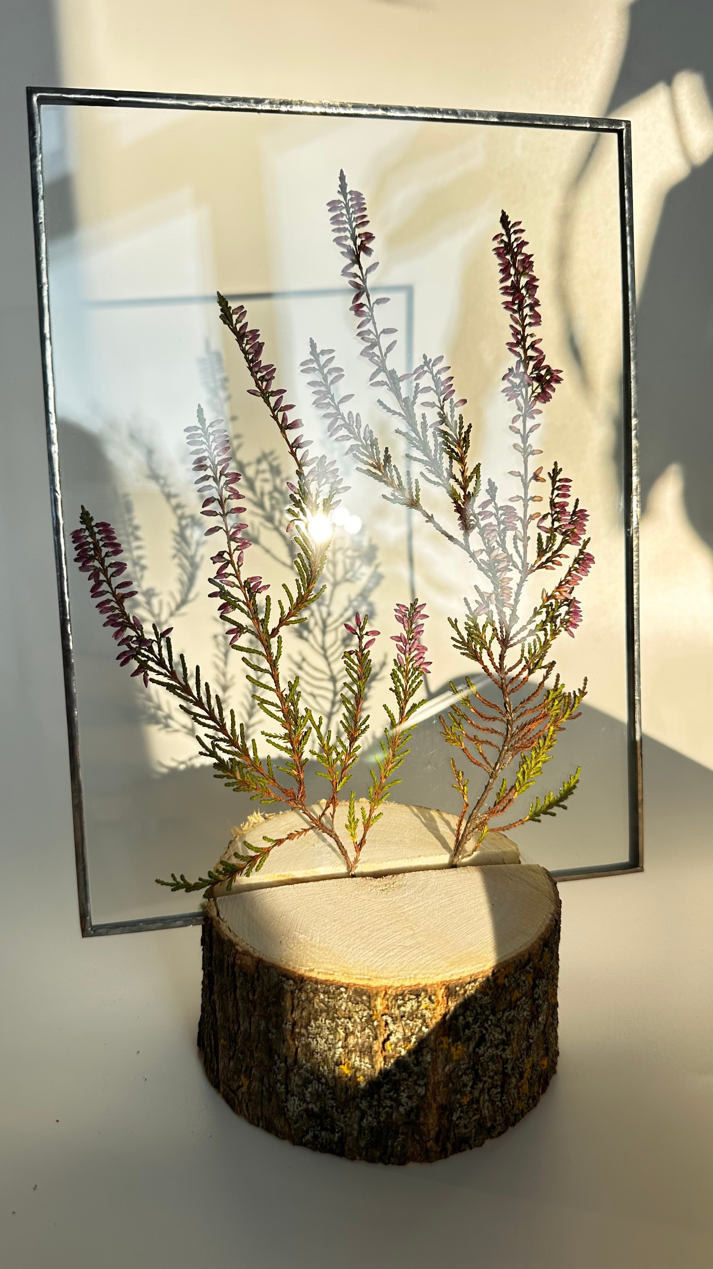 Гербарий в стекле с сухоцветами (витраж в технике тиффани). Гербарий в стекле, интерьерные панно, витражи с сухоцветами в технике тиффани