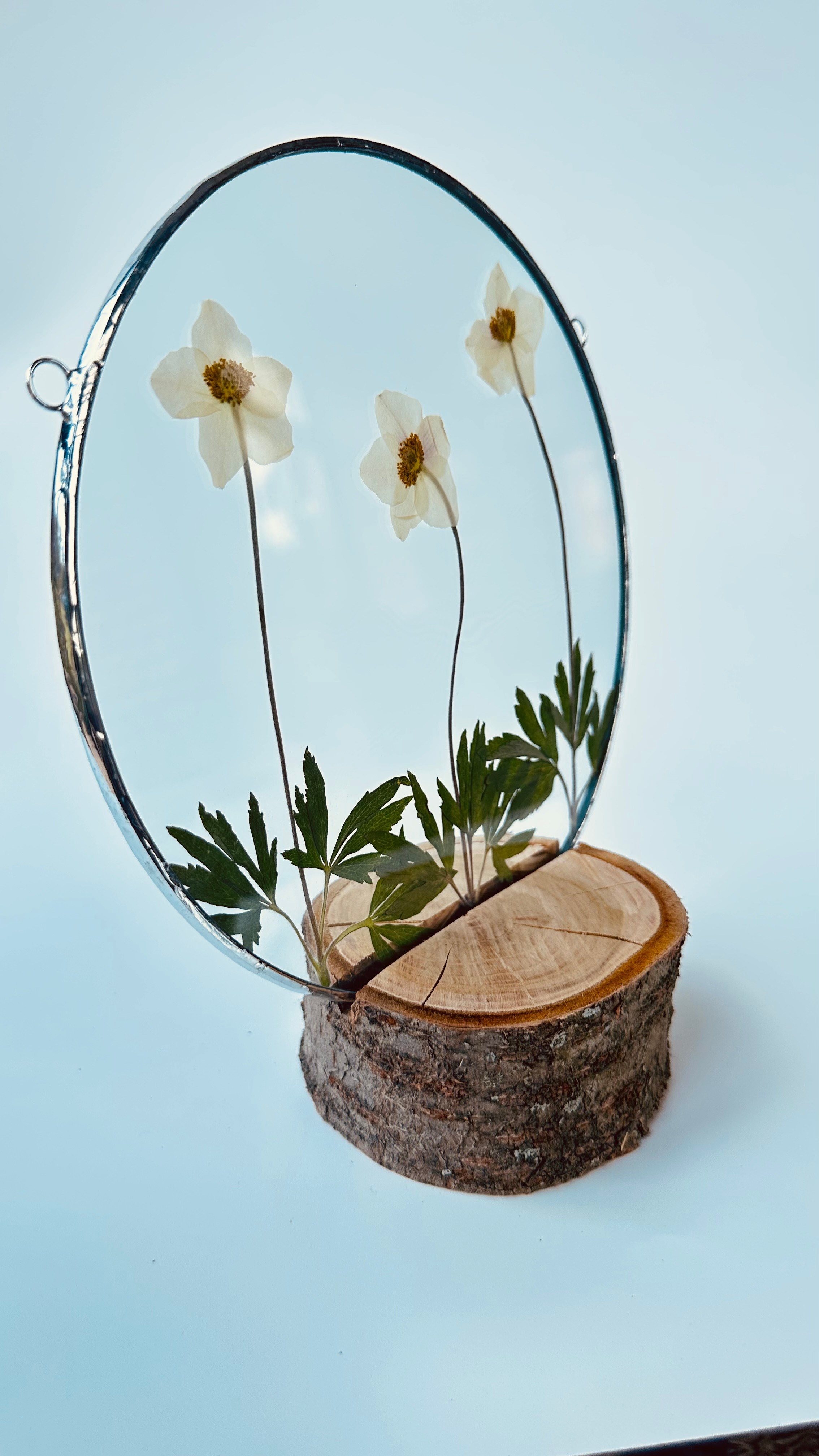 Засушенные цветы в стекле витраж техника тиффани. Гербарий в стекле, интерьерные панно, витражи с сухоцветами в технике тиффани