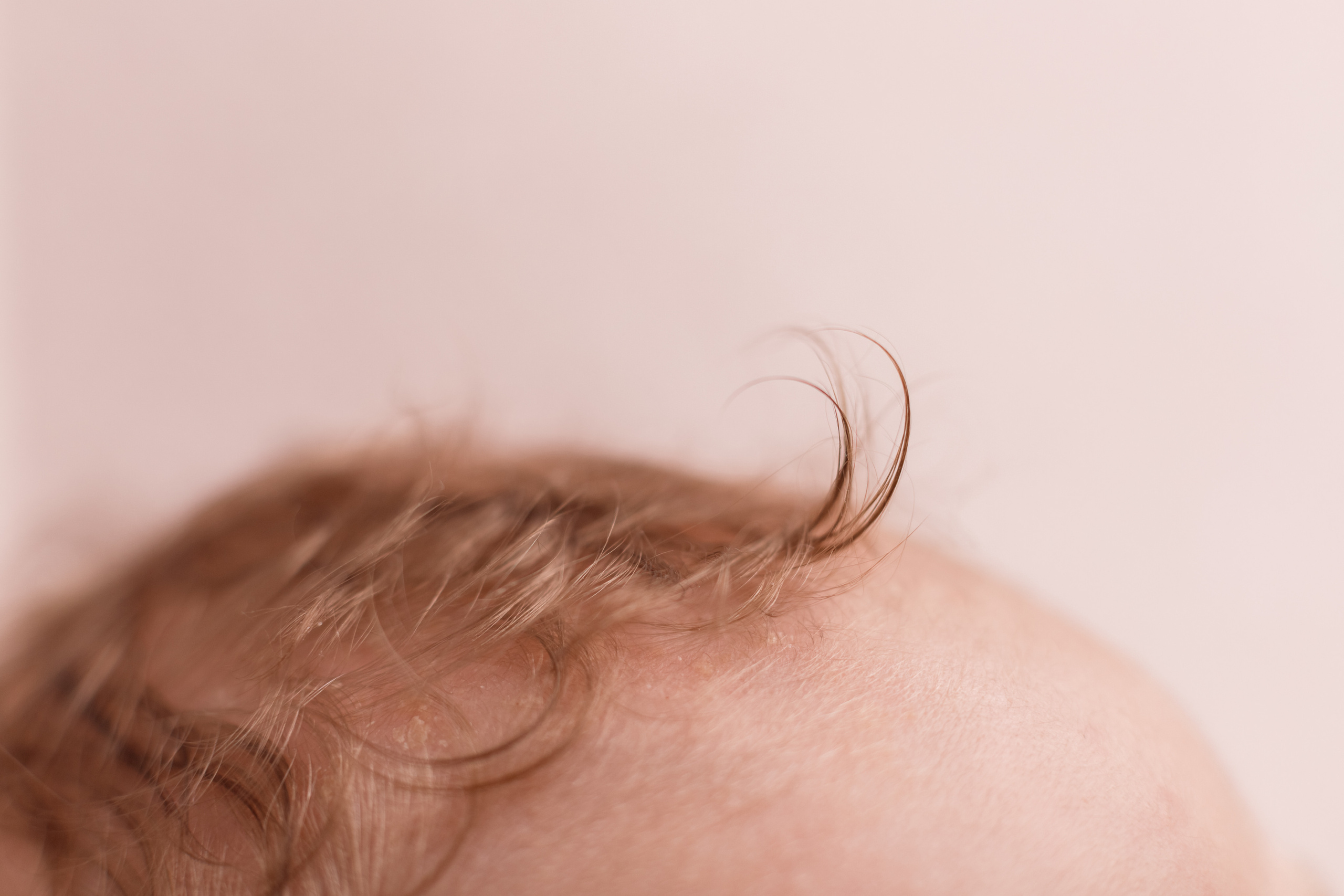 Съемка малышей 2 месяца у вас дома. Детский, семейный и фотограф новорождённых в Ярославле Анна Салова