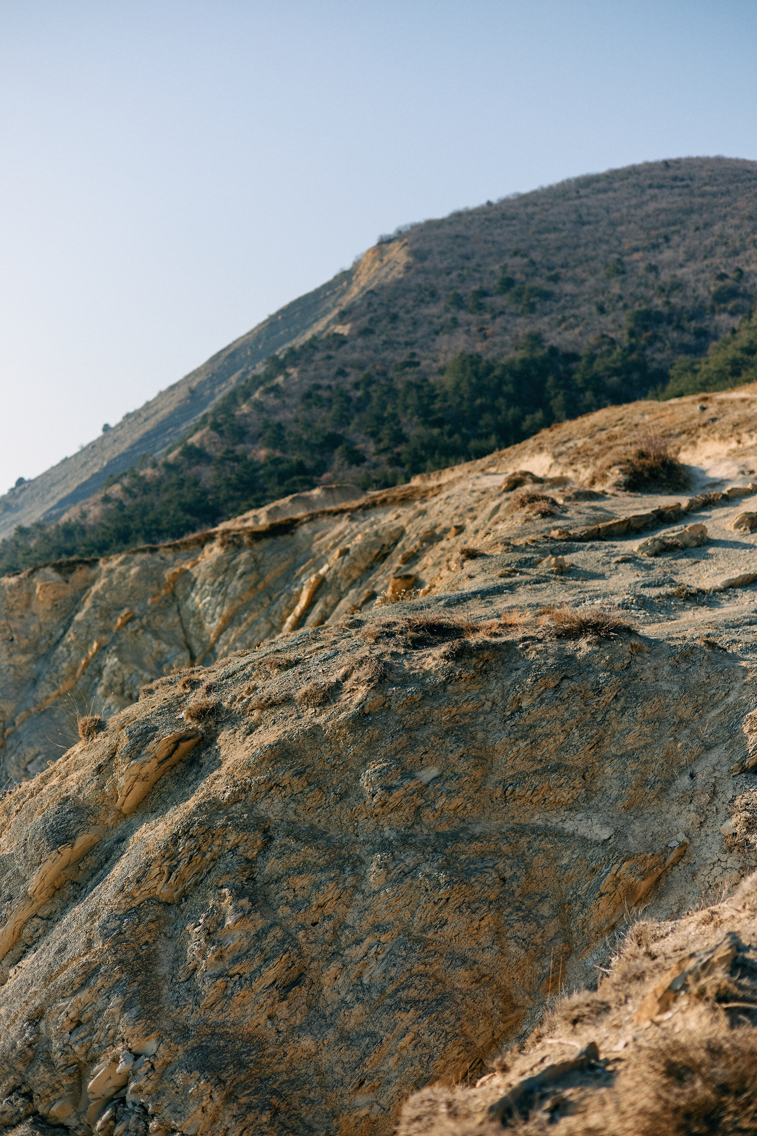 Юг России. Профессиональный Фотограф во Владимире, в Москве и в Суздале — Полина Романычева