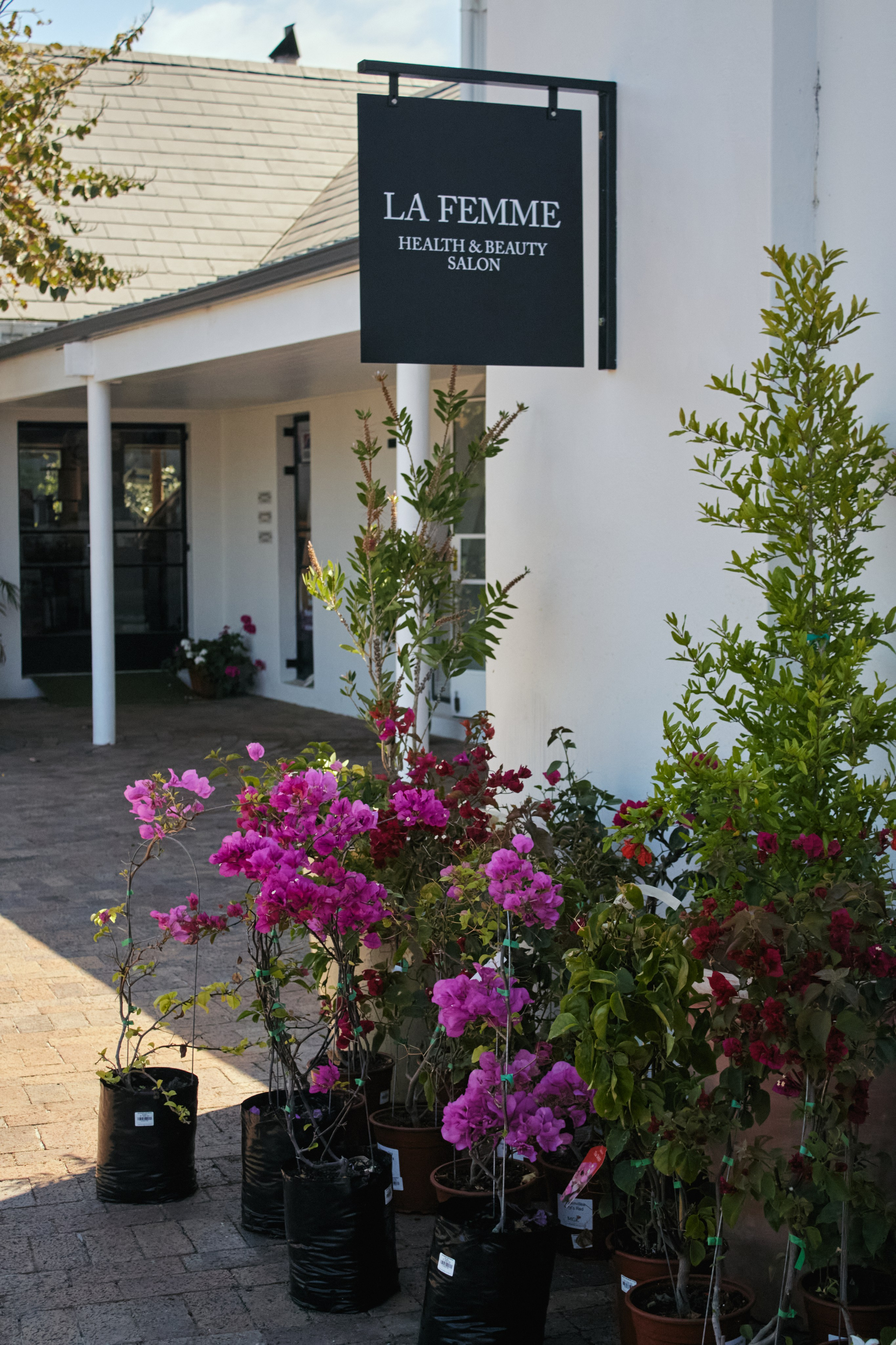 ЮАР. Профессиональный Фотограф во Владимире, в Москве и в Суздале — Полина Романычева