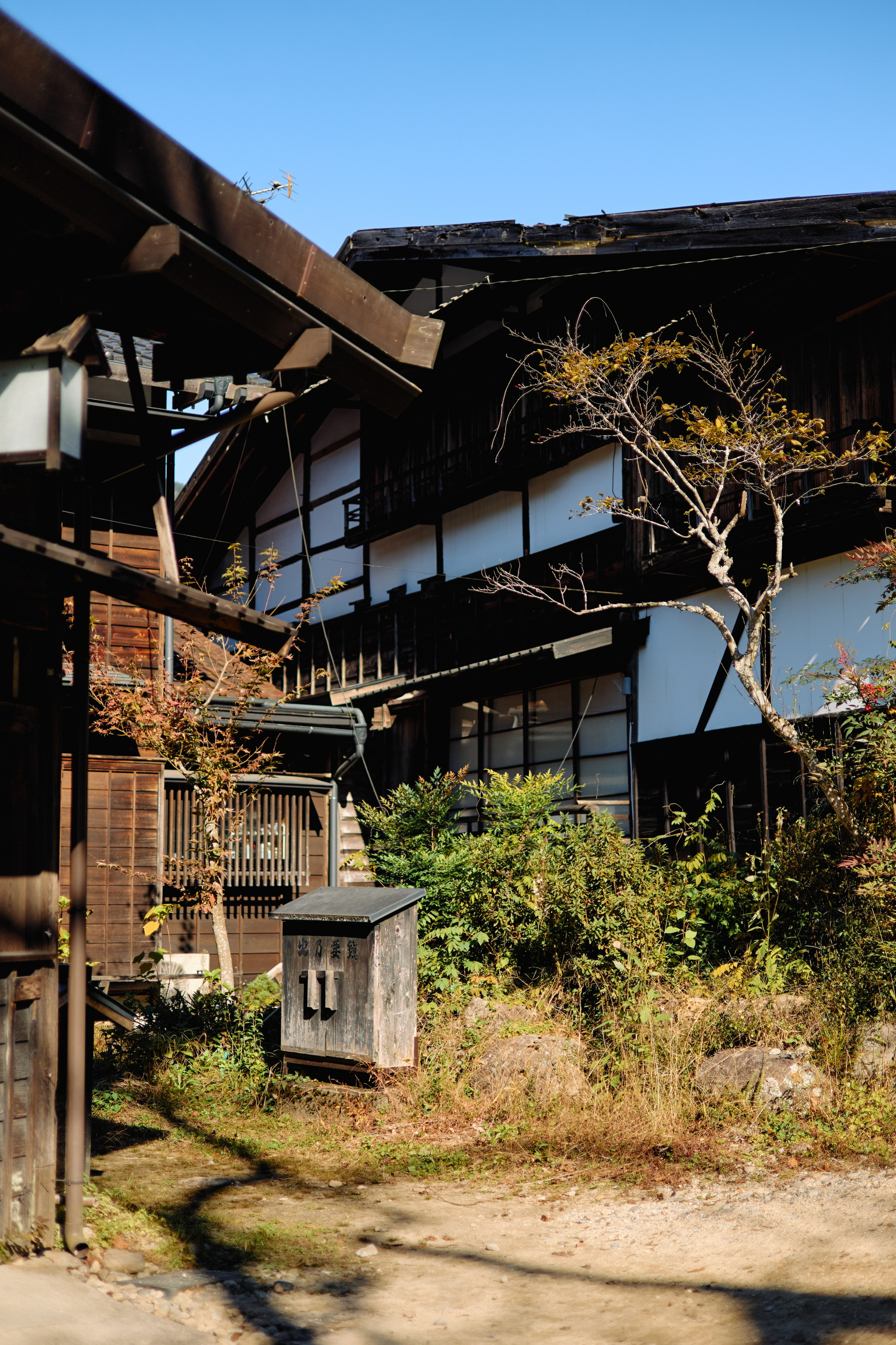 Япония. Профессиональный Фотограф во Владимире, в Москве и в Суздале — Полина Романычева