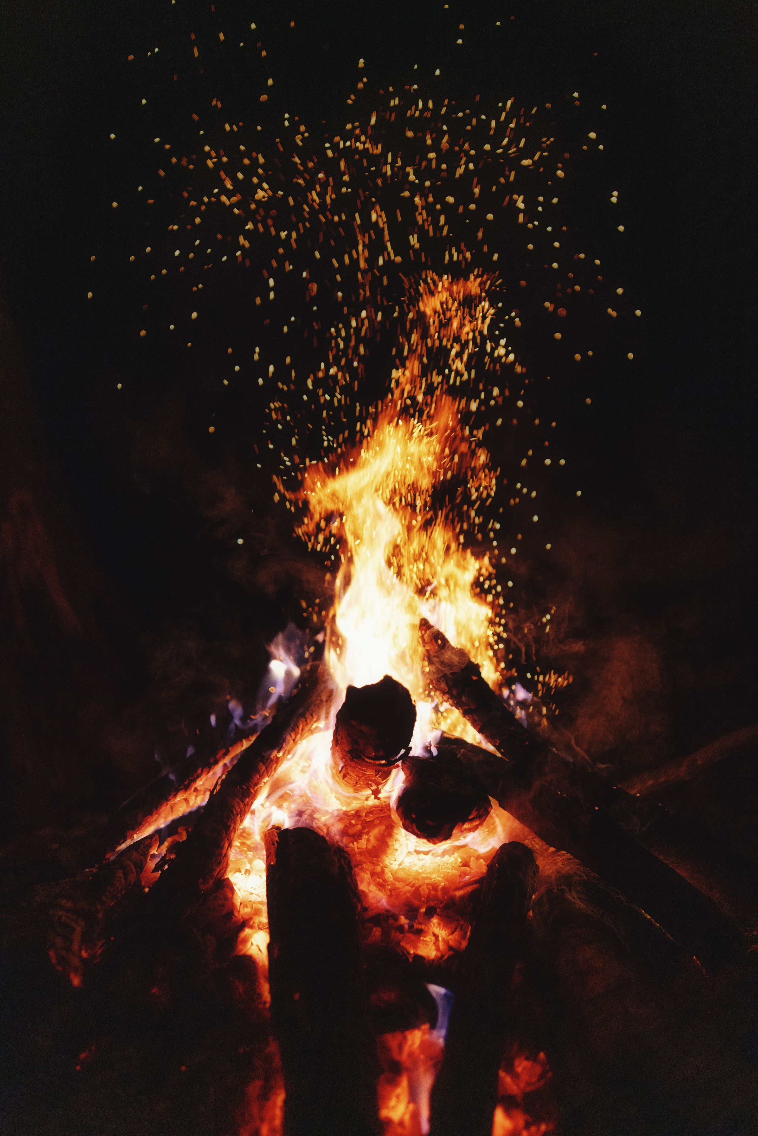 костёр вечером в лесу, Подмосковье