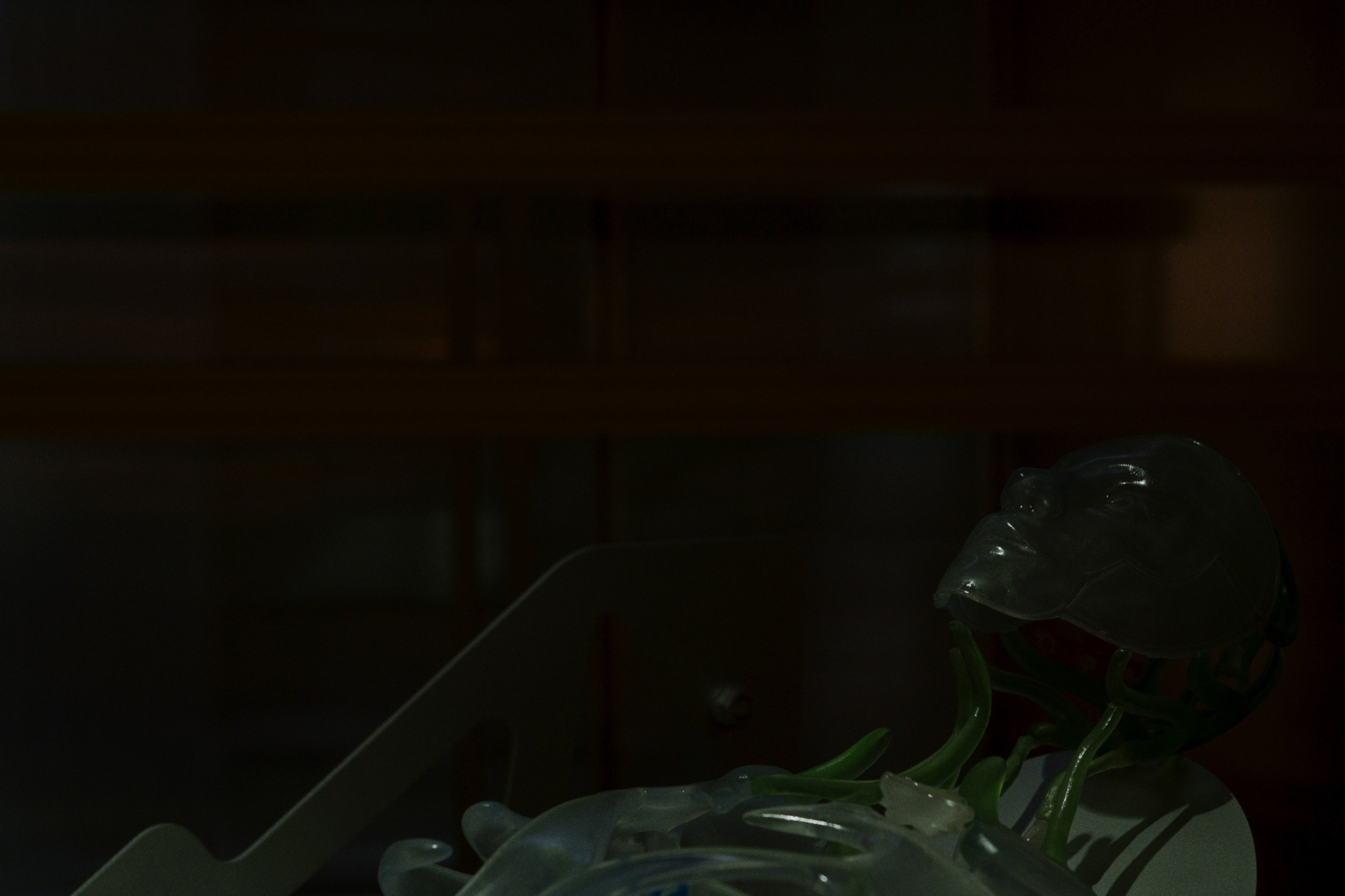 Garage / Moscow, Russia SS25. Фотограф Юрин Евгений